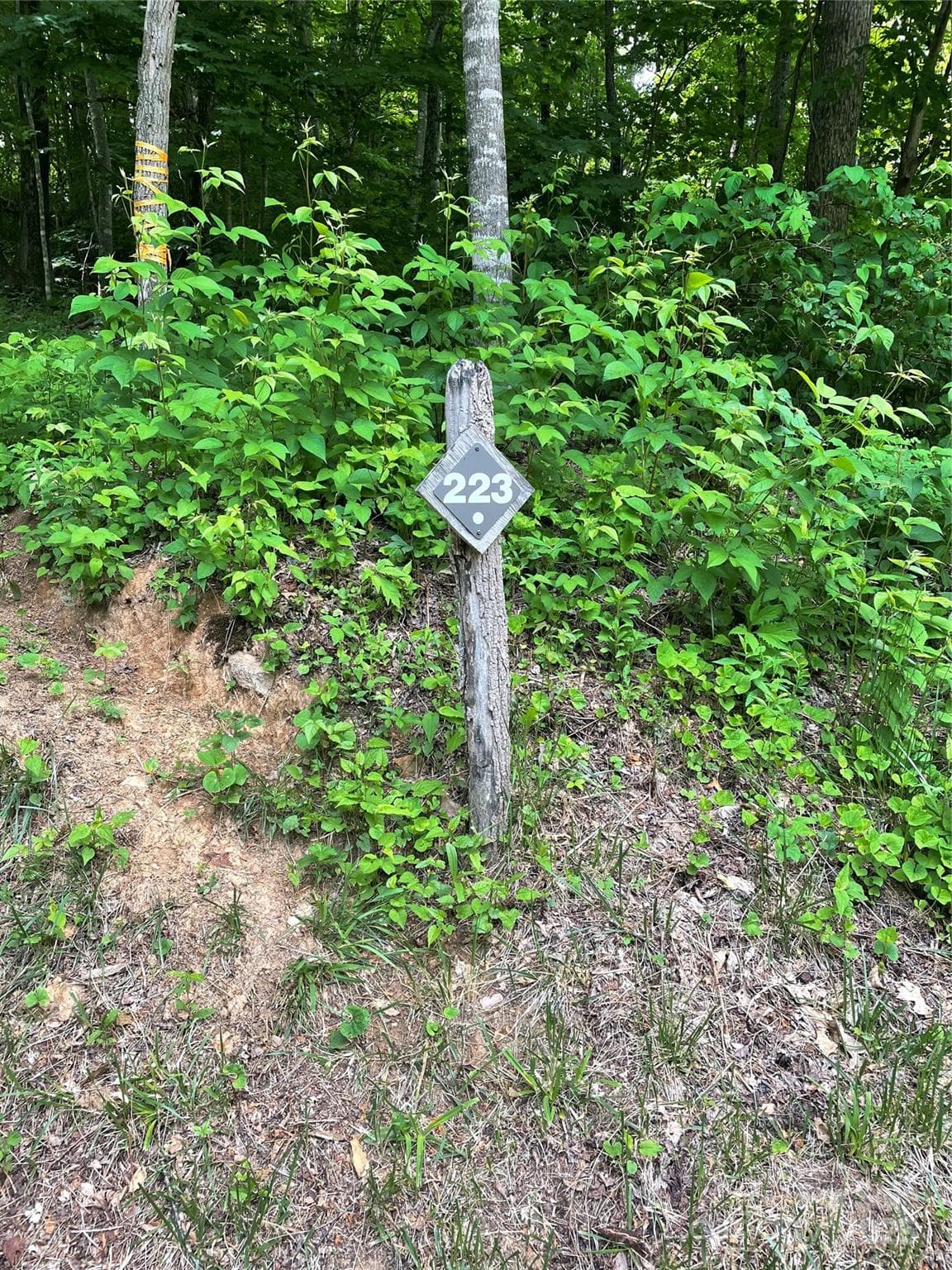 Lot at Sylva, photo 5 of 11