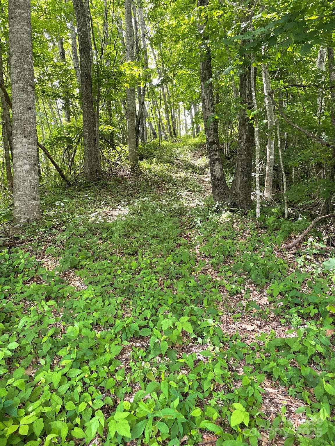 Lot at Sylva, photo 6 of 11