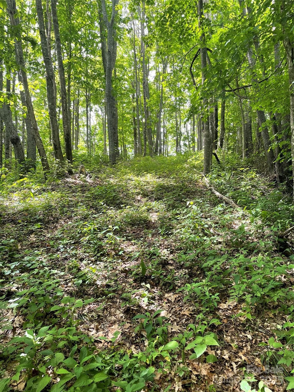Lot at Sylva, photo 7 of 11