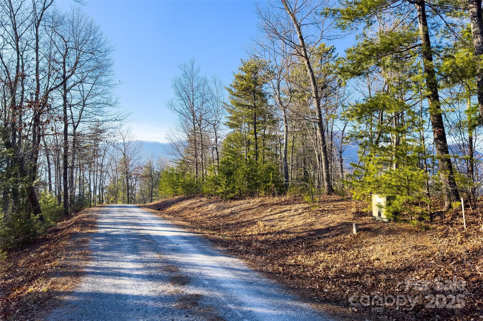 Property line stake can be see in foreground in front of power service box. View looking west on the road, which is a Cul-de-Sac. - Lot #45 Fox Ridge Trail, Marion