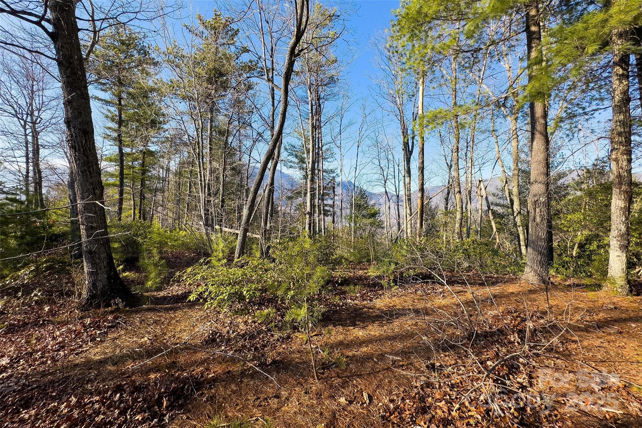 View from street, looking to the north - Lot #45 Fox Ridge Trail, Marion