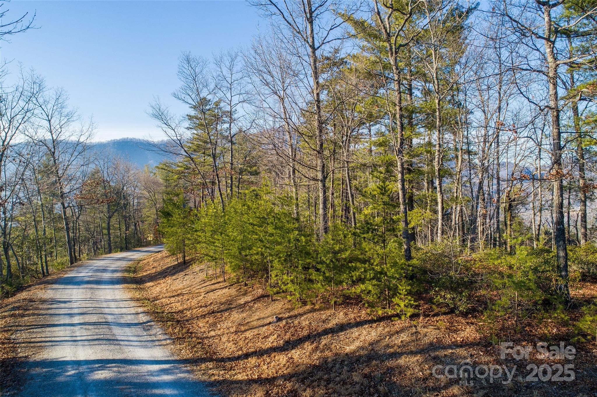 Western property stake can be seen in the ground just below the line of pines. View still looking to the west. - Lot #45 Fox Ridge Trail, Marion