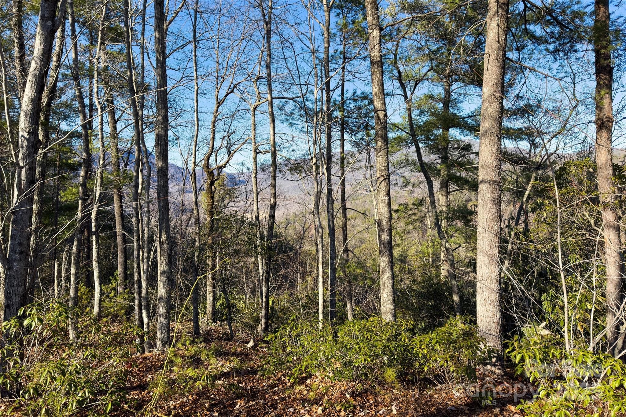 Lot at Lot #45 Fox Ridge Trail, Marion, photo 17 of 29