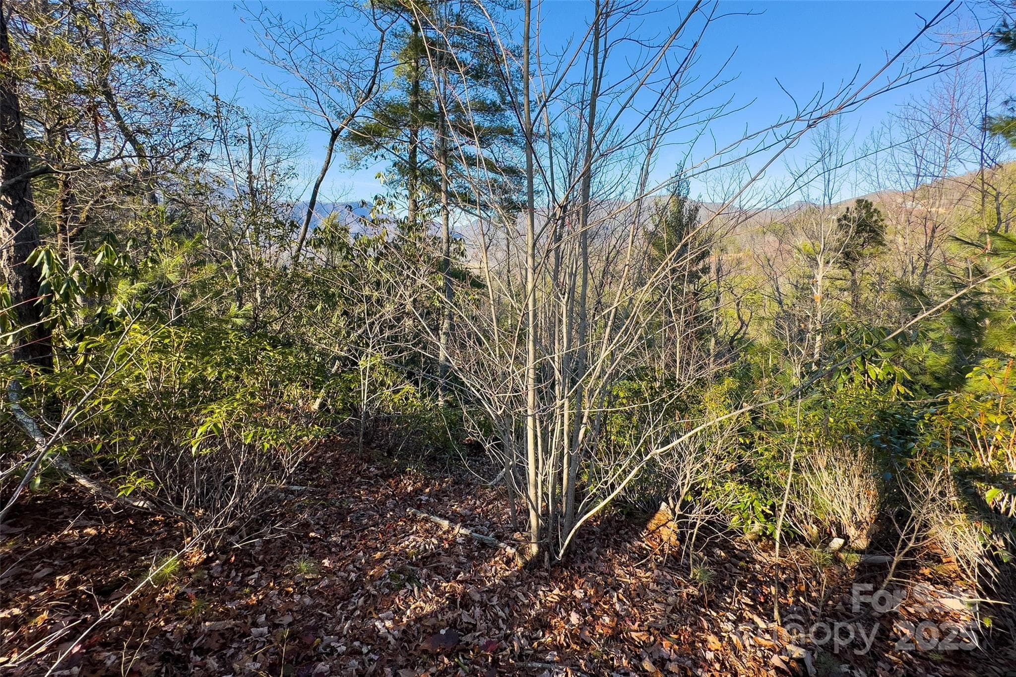 Lot at Lot #45 Fox Ridge Trail, Marion, photo 21 of 29