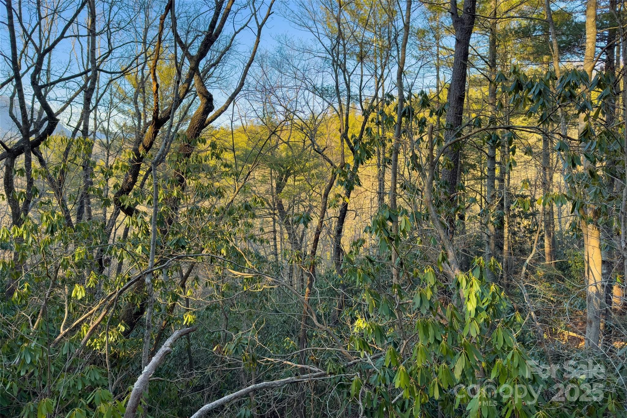 Lot at LOT #84 Little Fox Run, Marion, photo 9 of 24
