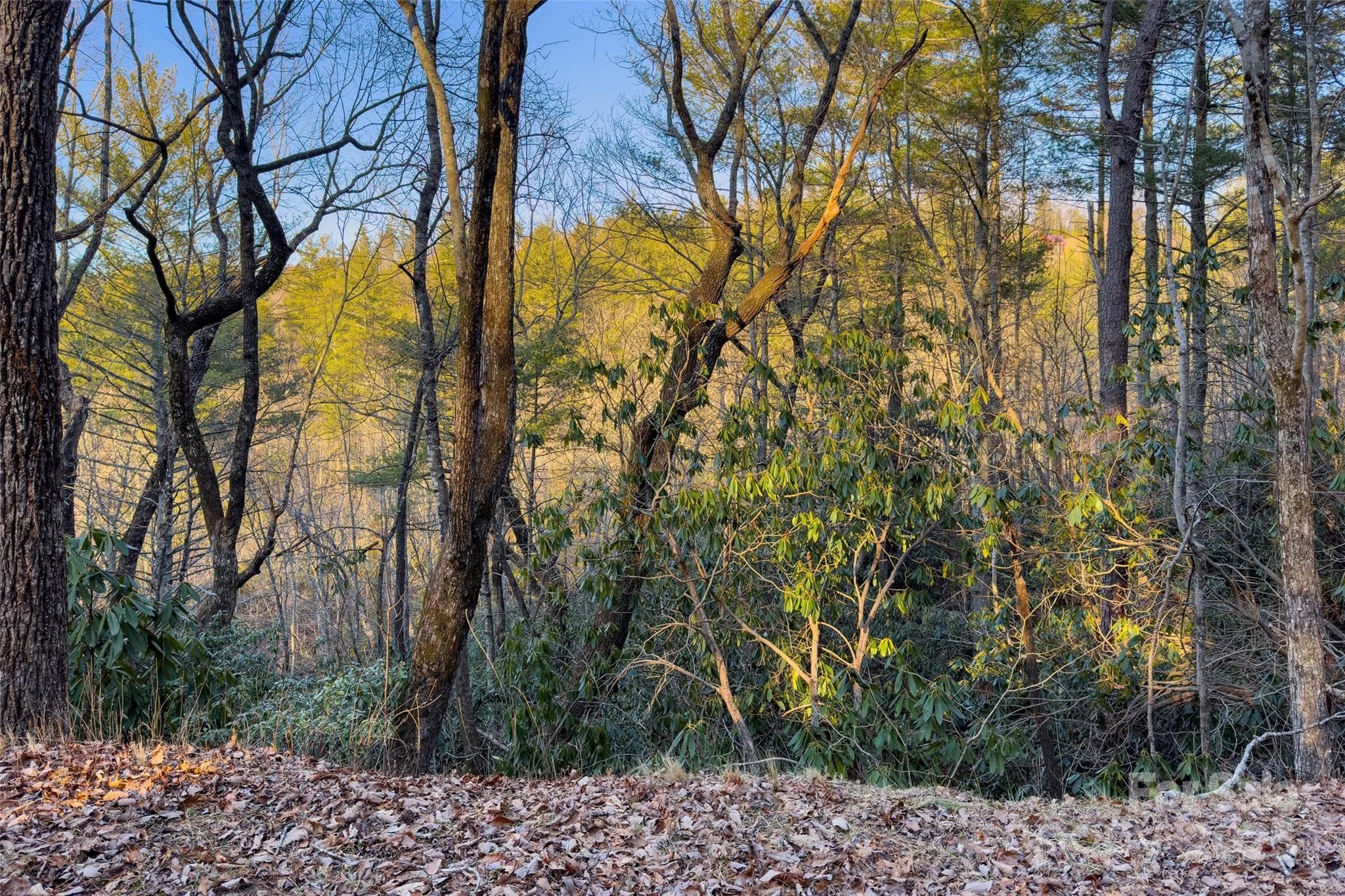Lot at LOT #84 Little Fox Run, Marion, photo 10 of 24