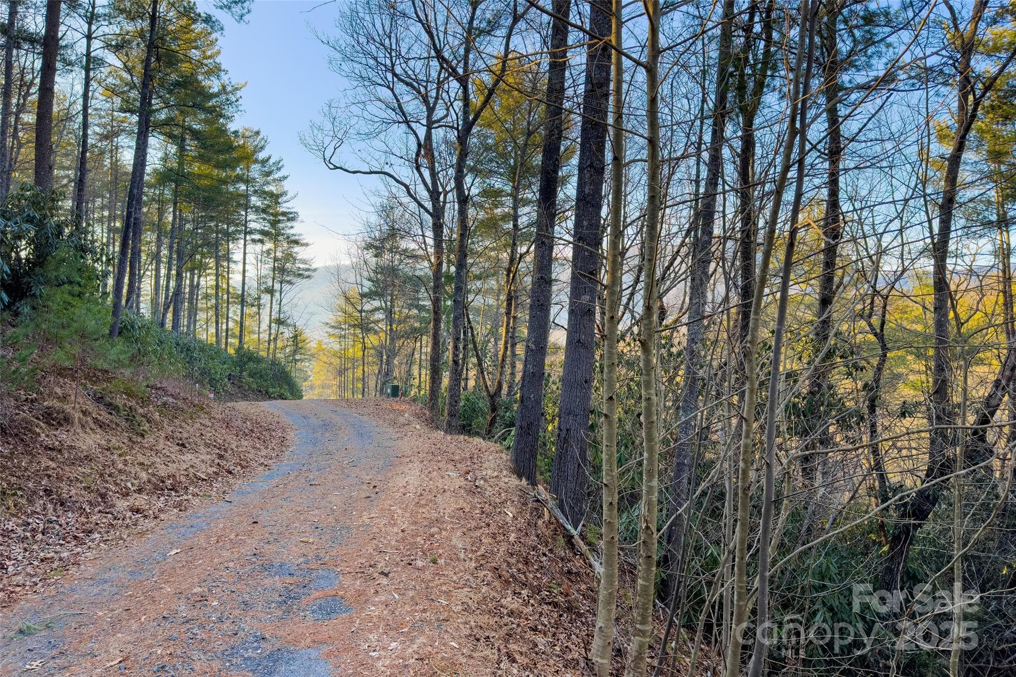 Lot at LOT #84 Little Fox Run, Marion, photo 14 of 24