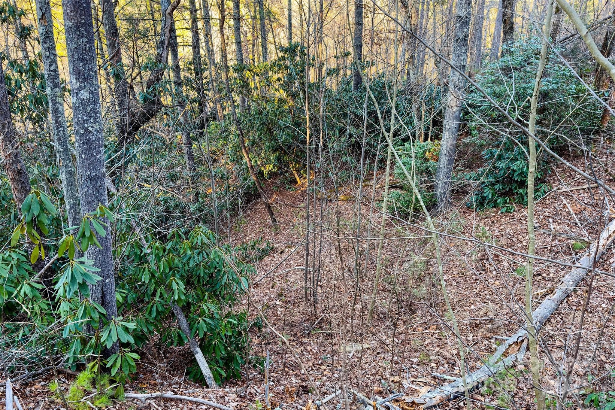 Lot at LOT #84 Little Fox Run, Marion, photo 15 of 24