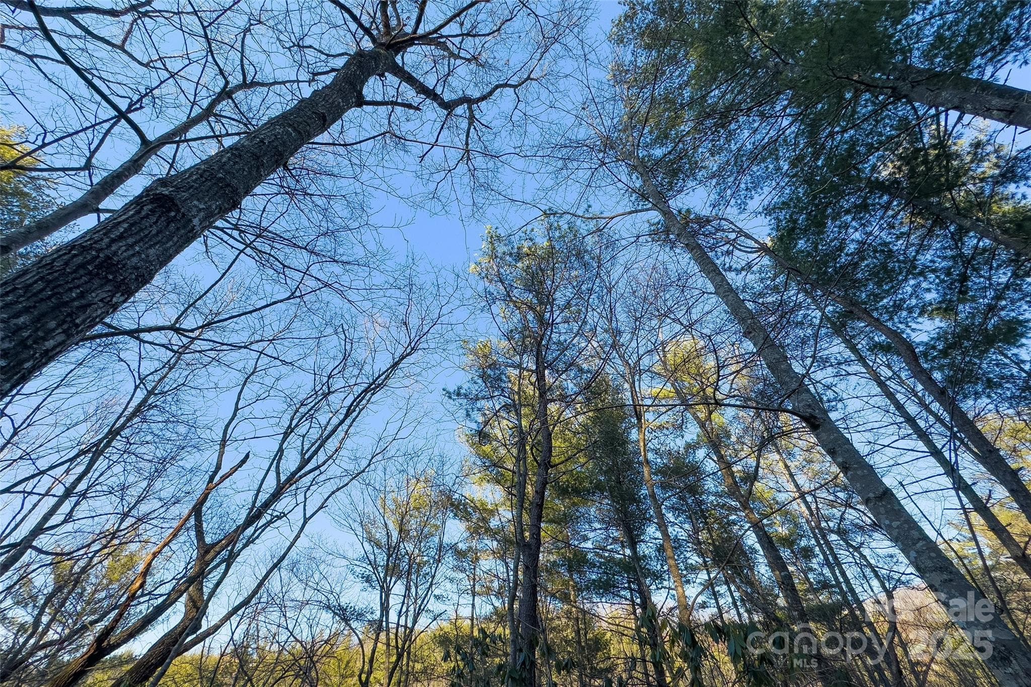 Lot at LOT #84 Little Fox Run, Marion, photo 16 of 24