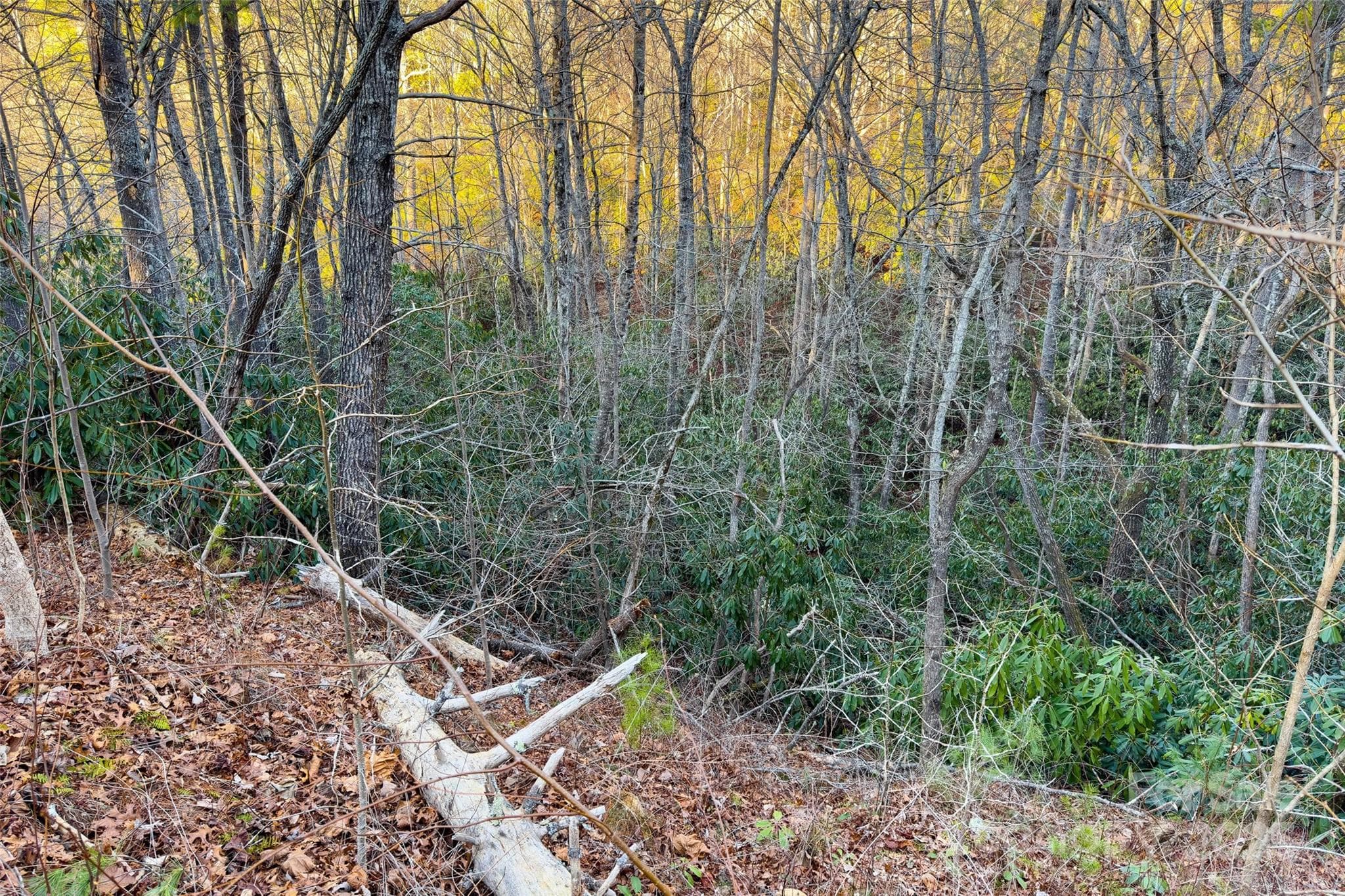 Lot at LOT #84 Little Fox Run, Marion, photo 20 of 24