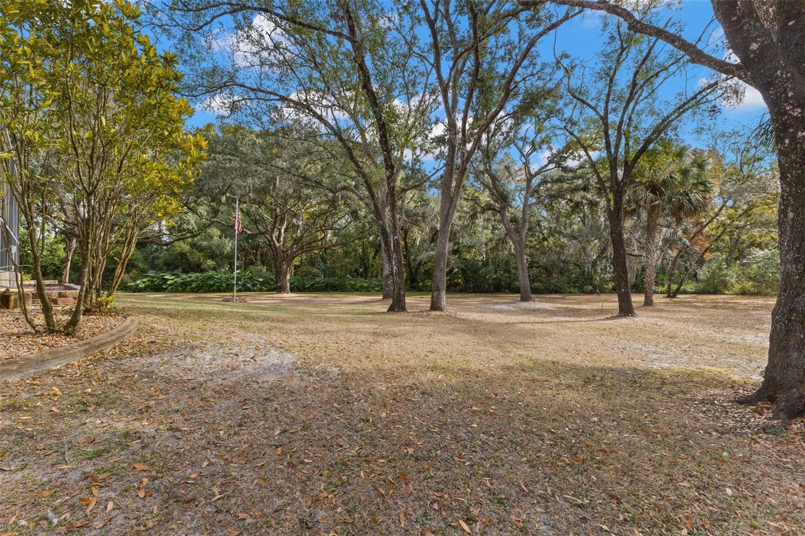 Backyard - 3734 THORNBUSH LN, NEW PORT RICHEY