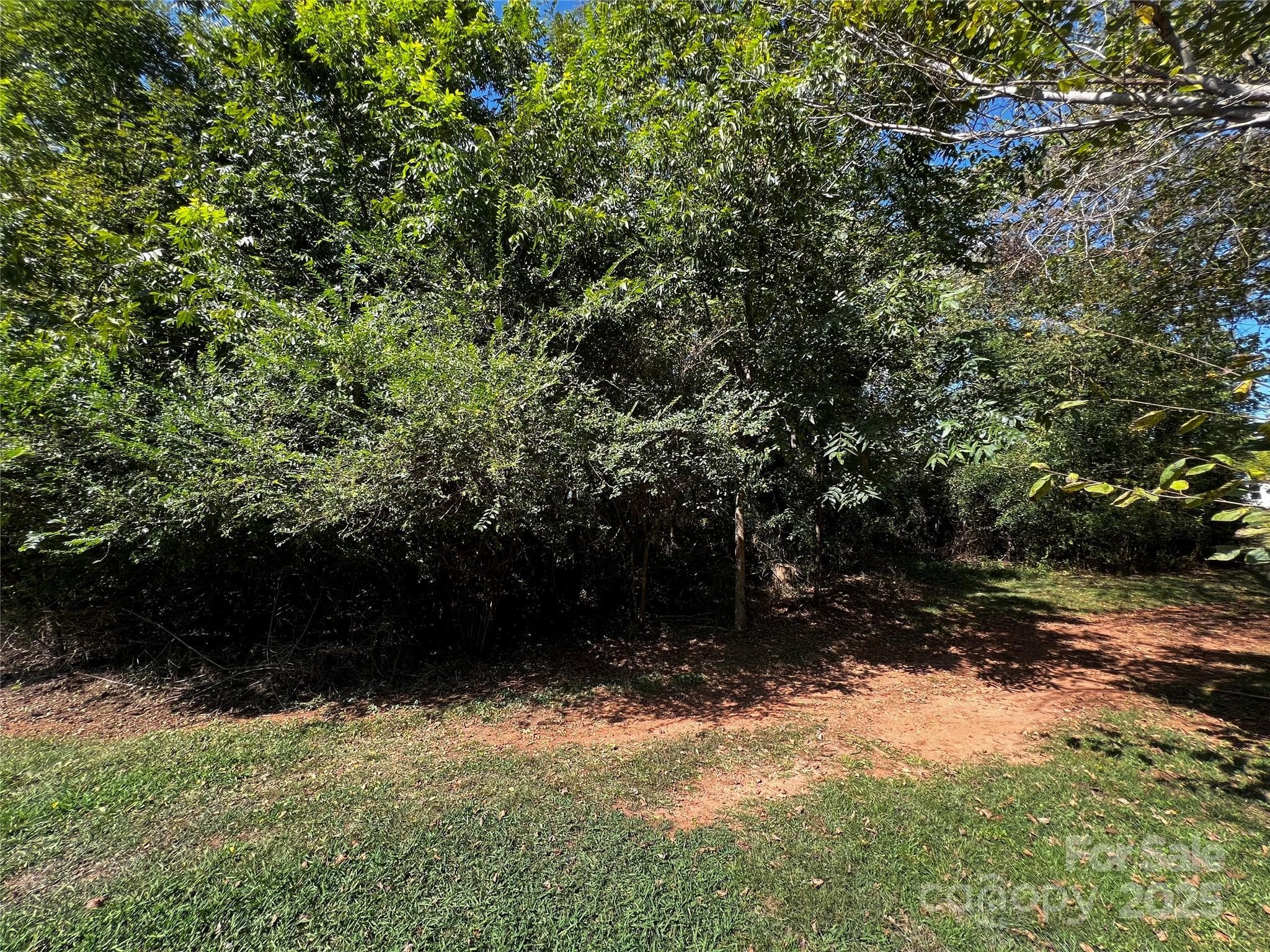 Unimproved Commercial at Rutherfordton, photo 4 of 13