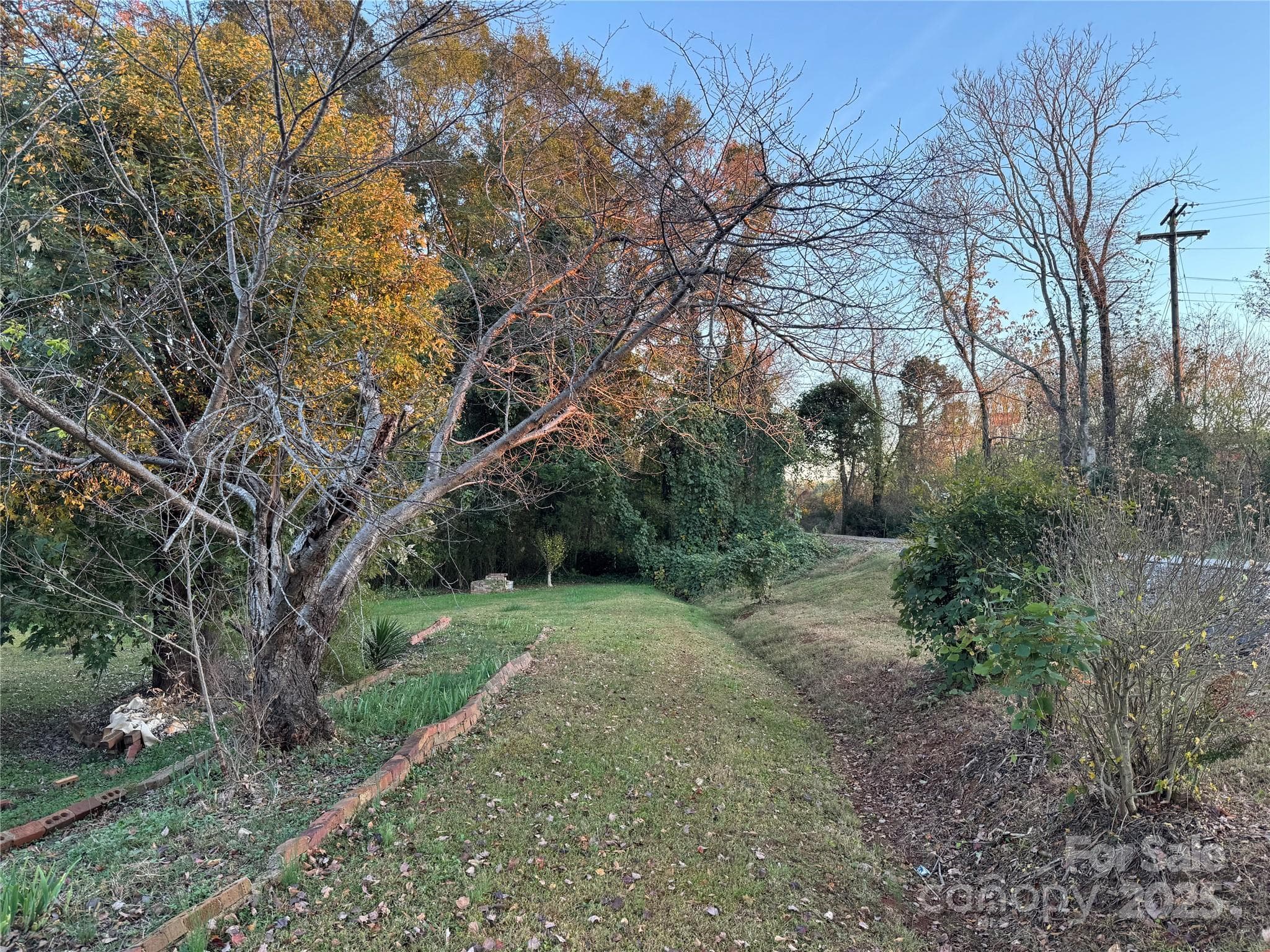 Unimproved Commercial at Rutherfordton, photo 6 of 13