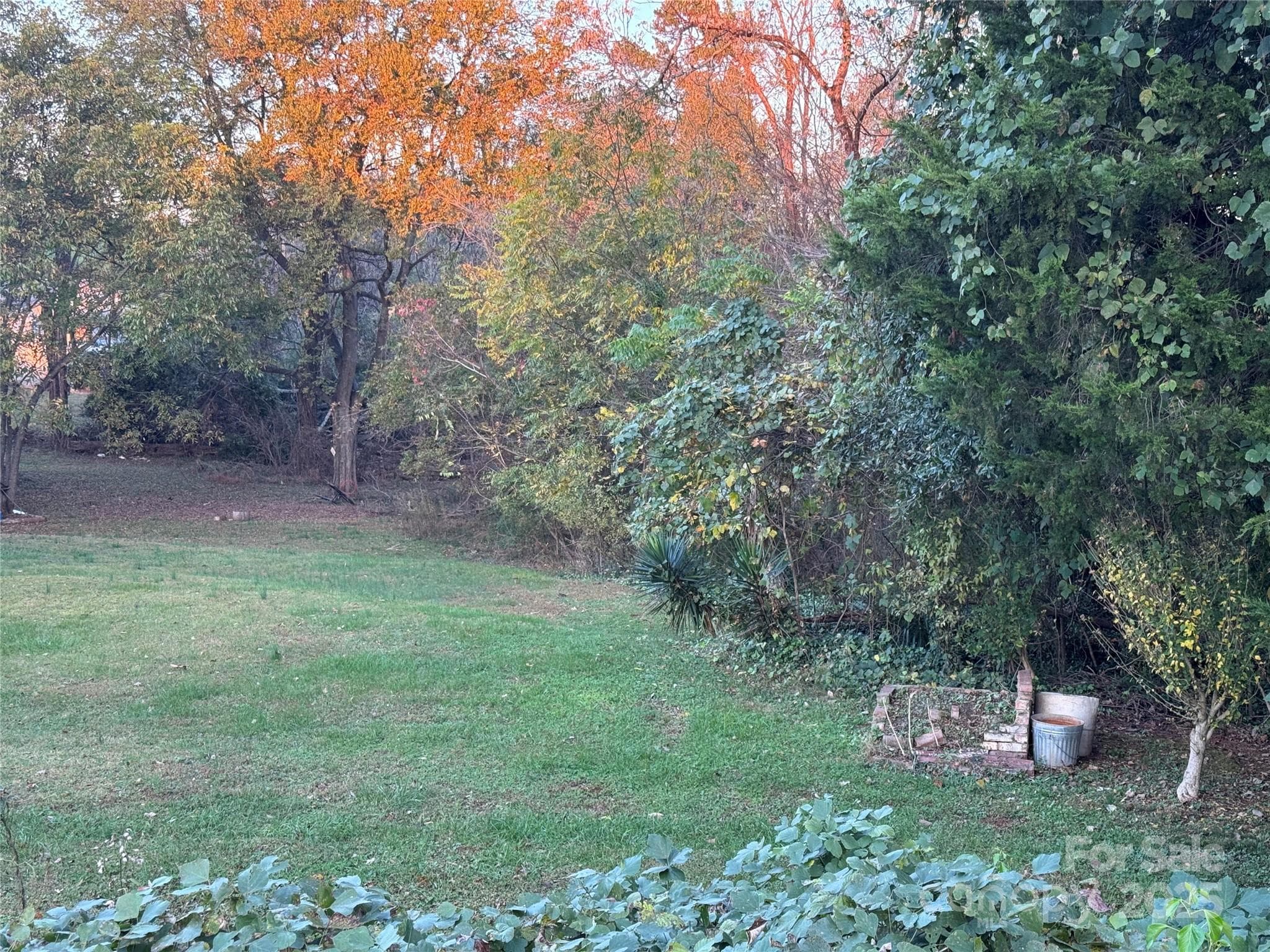 Unimproved Commercial at Rutherfordton, photo 8 of 13
