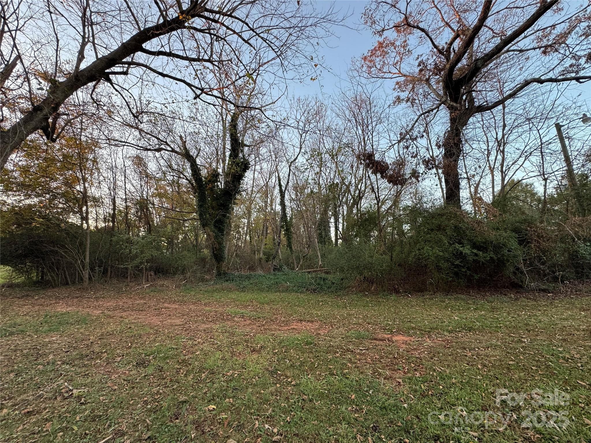 Unimproved Commercial at Rutherfordton, photo 11 of 13