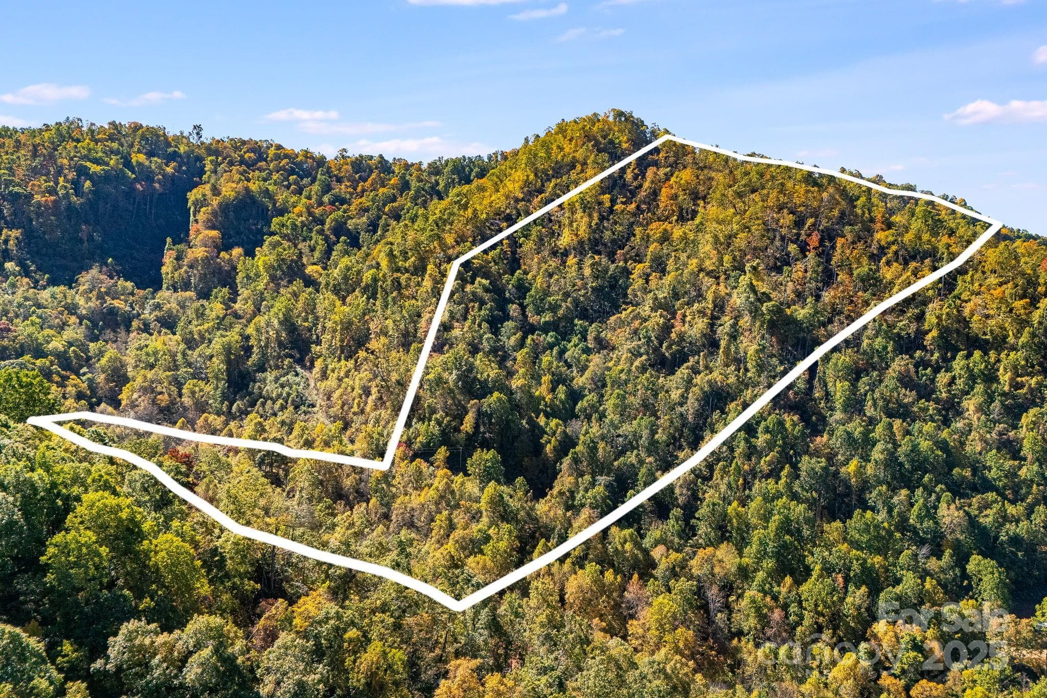 Acreage at Mars Hill, photo 2 of 14