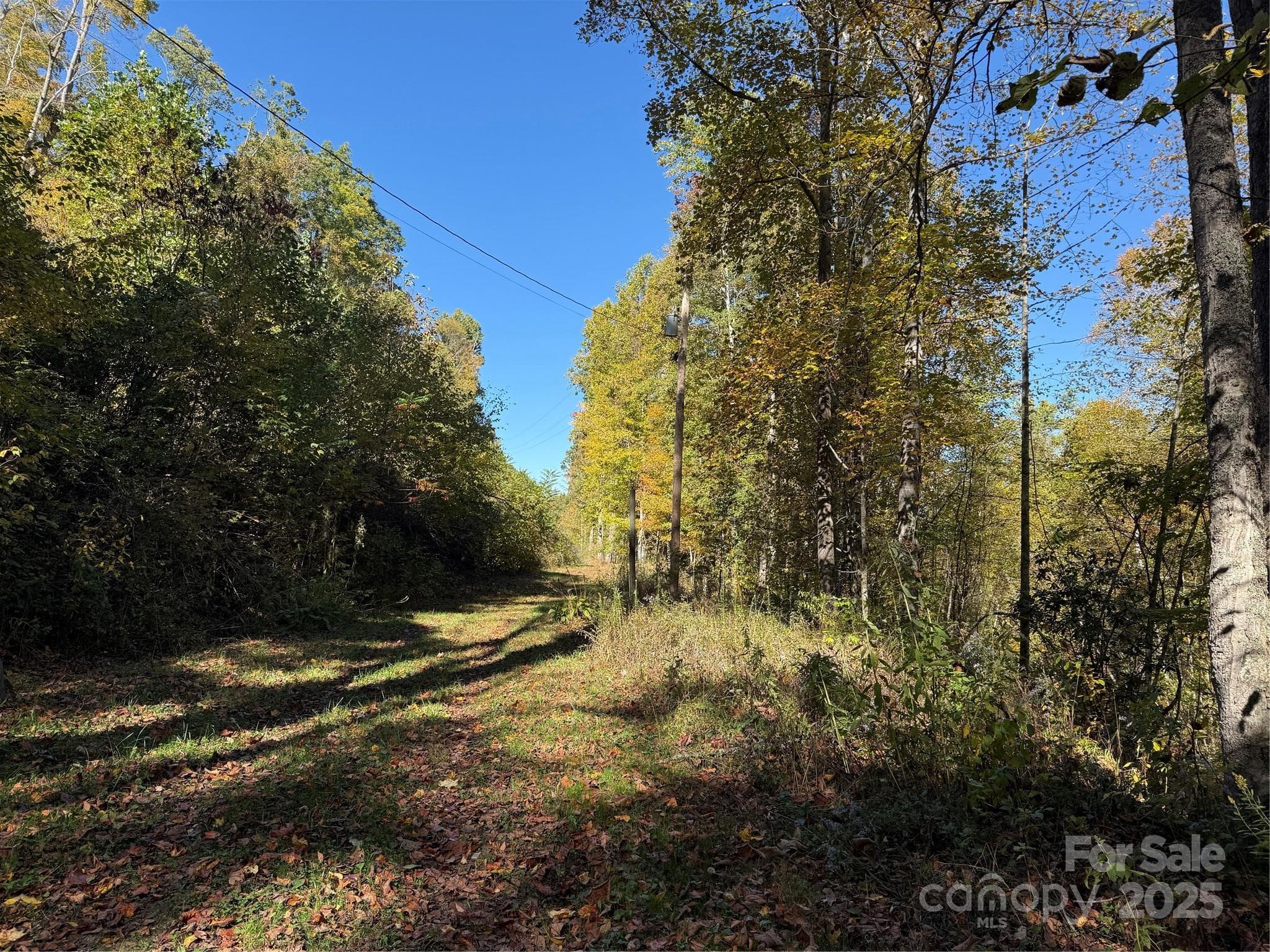 Acreage at Mars Hill, photo 6 of 14