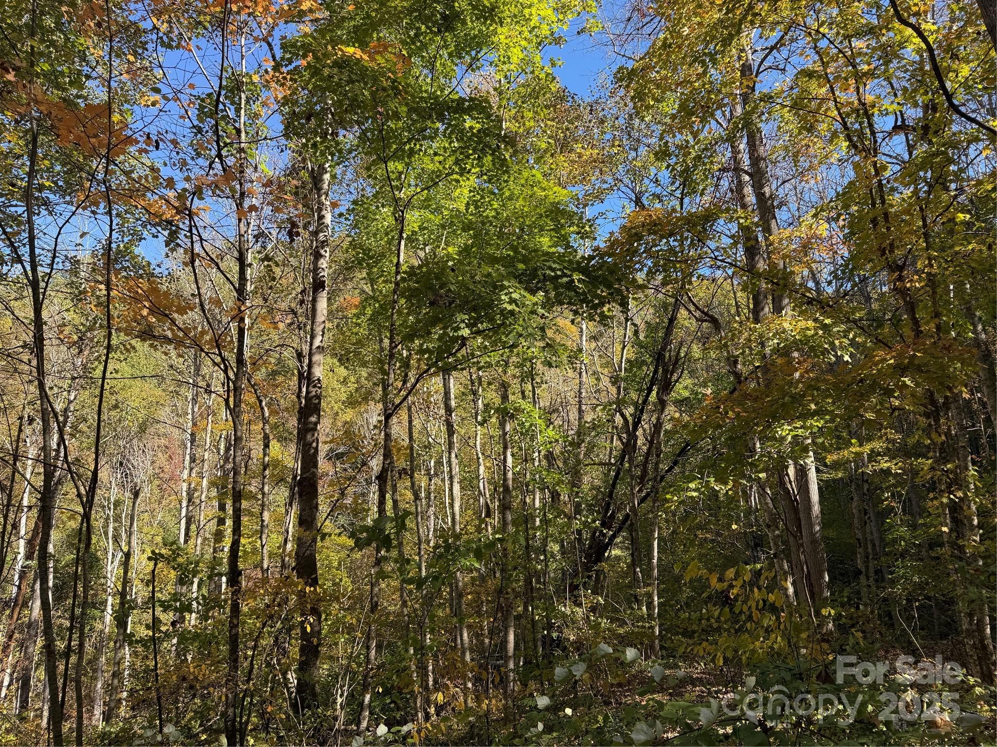Acreage at Mars Hill, photo 7 of 14