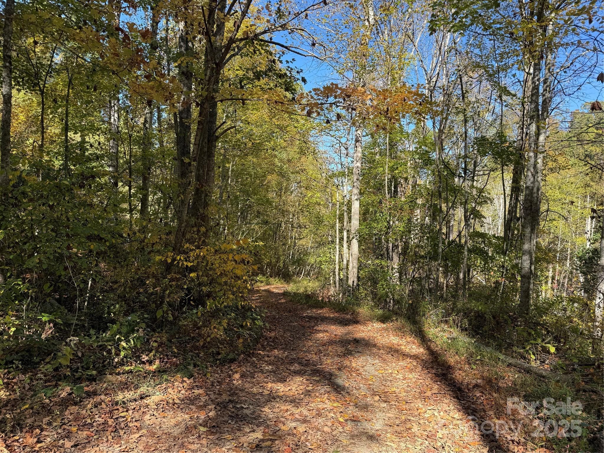 Acreage at Mars Hill, photo 8 of 14