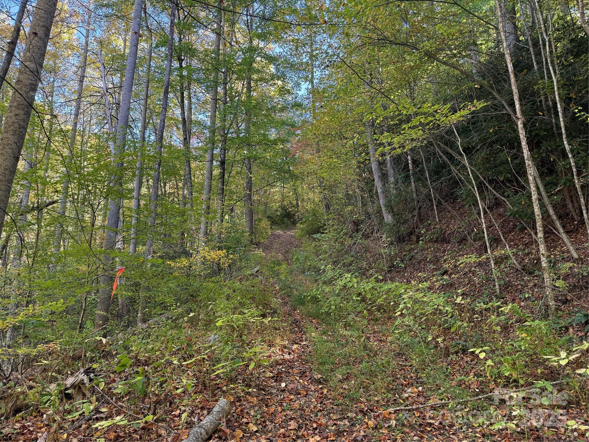Acreage at Mars Hill, photo 9 of 14