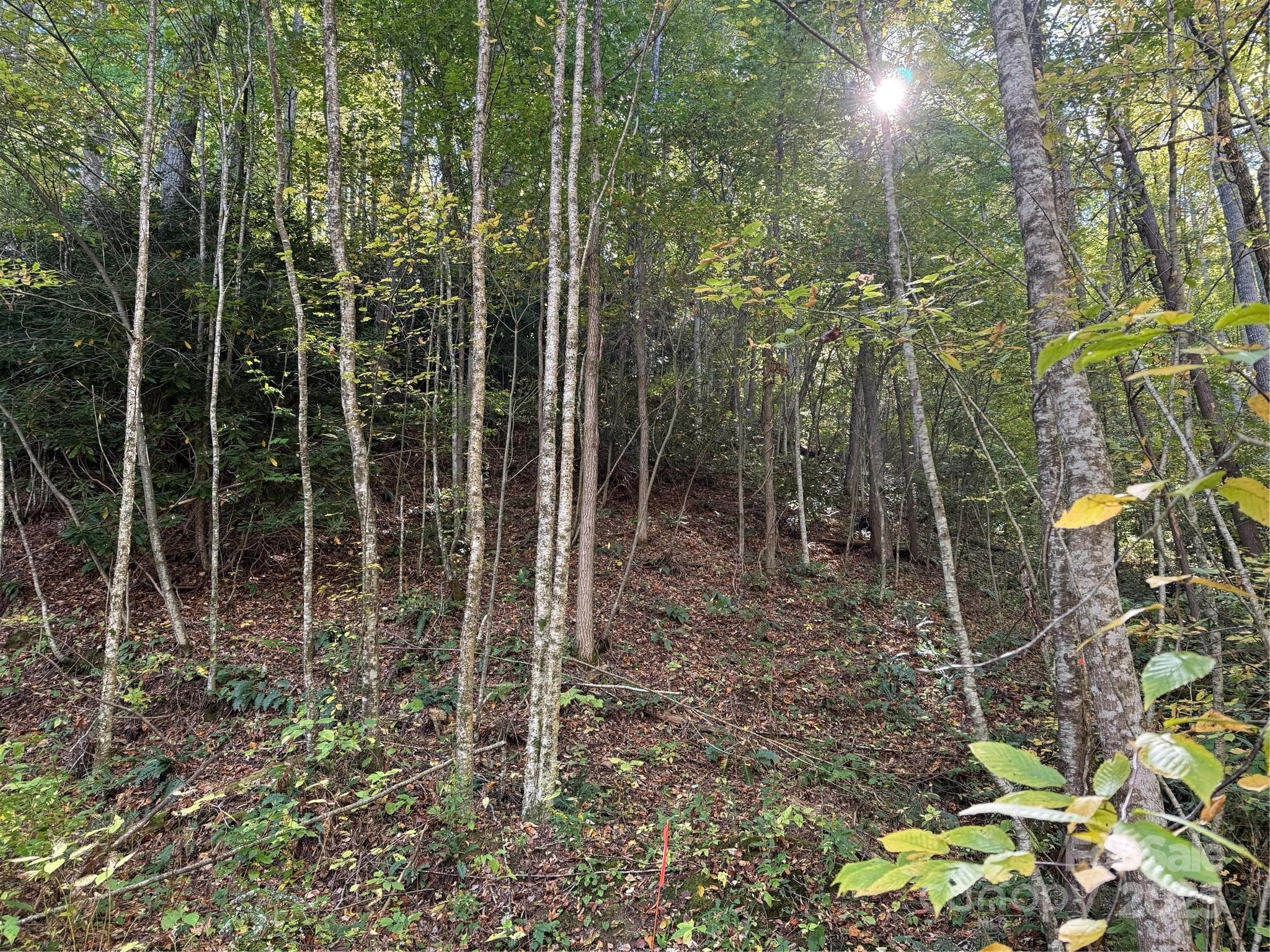Acreage at Mars Hill, photo 11 of 14