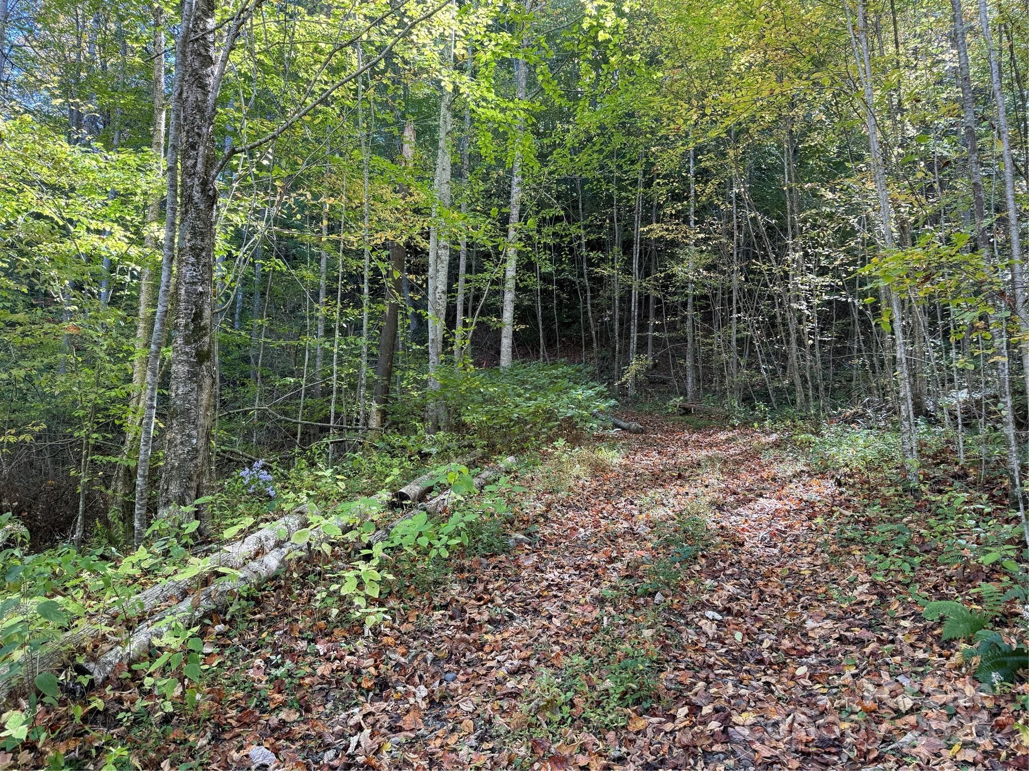 Acreage at Mars Hill, photo 12 of 14