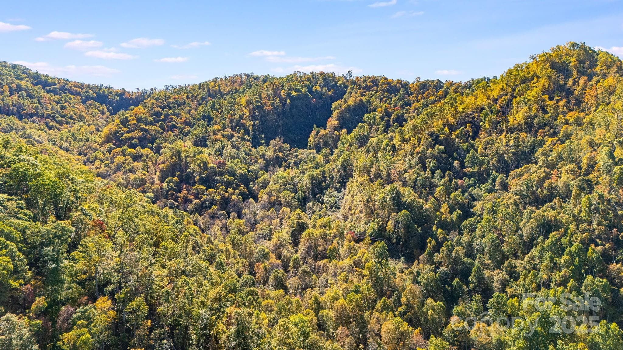 Acreage at Mars Hill, photo 13 of 14