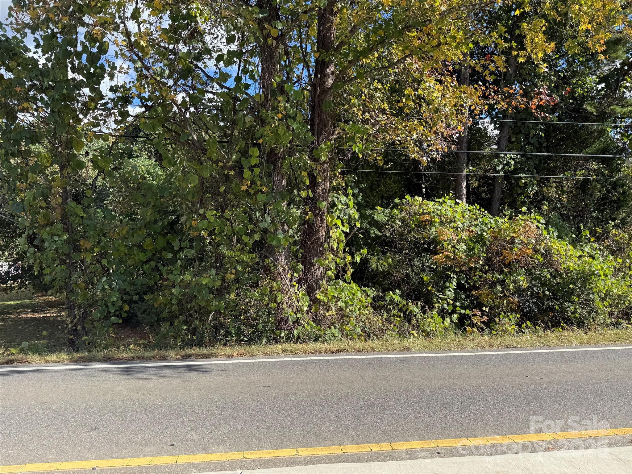 Front View - Davidson