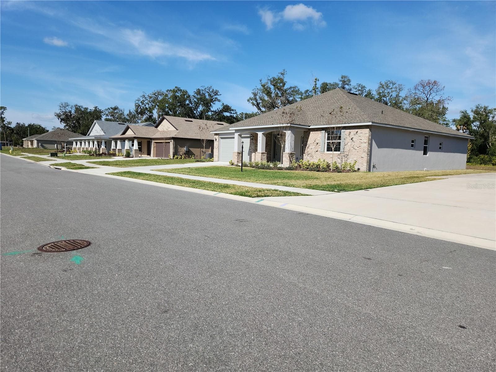 GORGEOUS NEIGHBORHOOD! - 416 SHANNON ESTATES CT, PLANT CITY