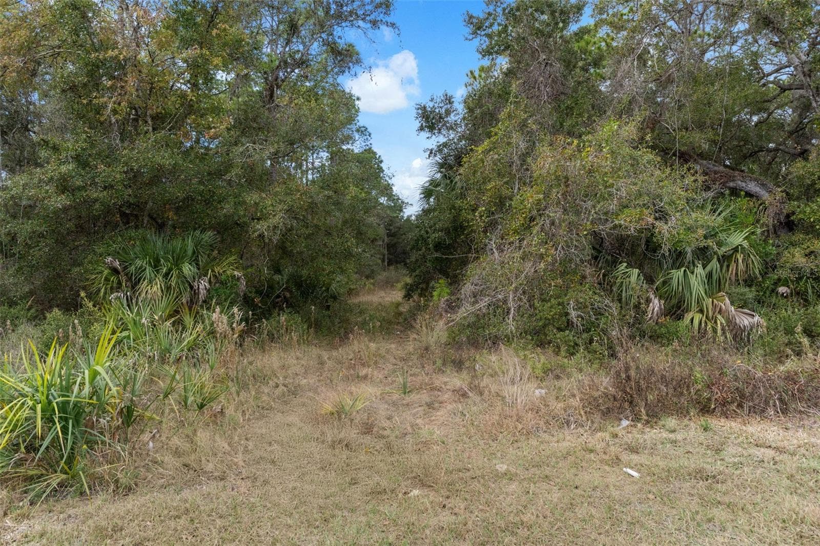 Land at 11621 W GARNET CT, CRYSTAL RIVER, photo 24 of 26
