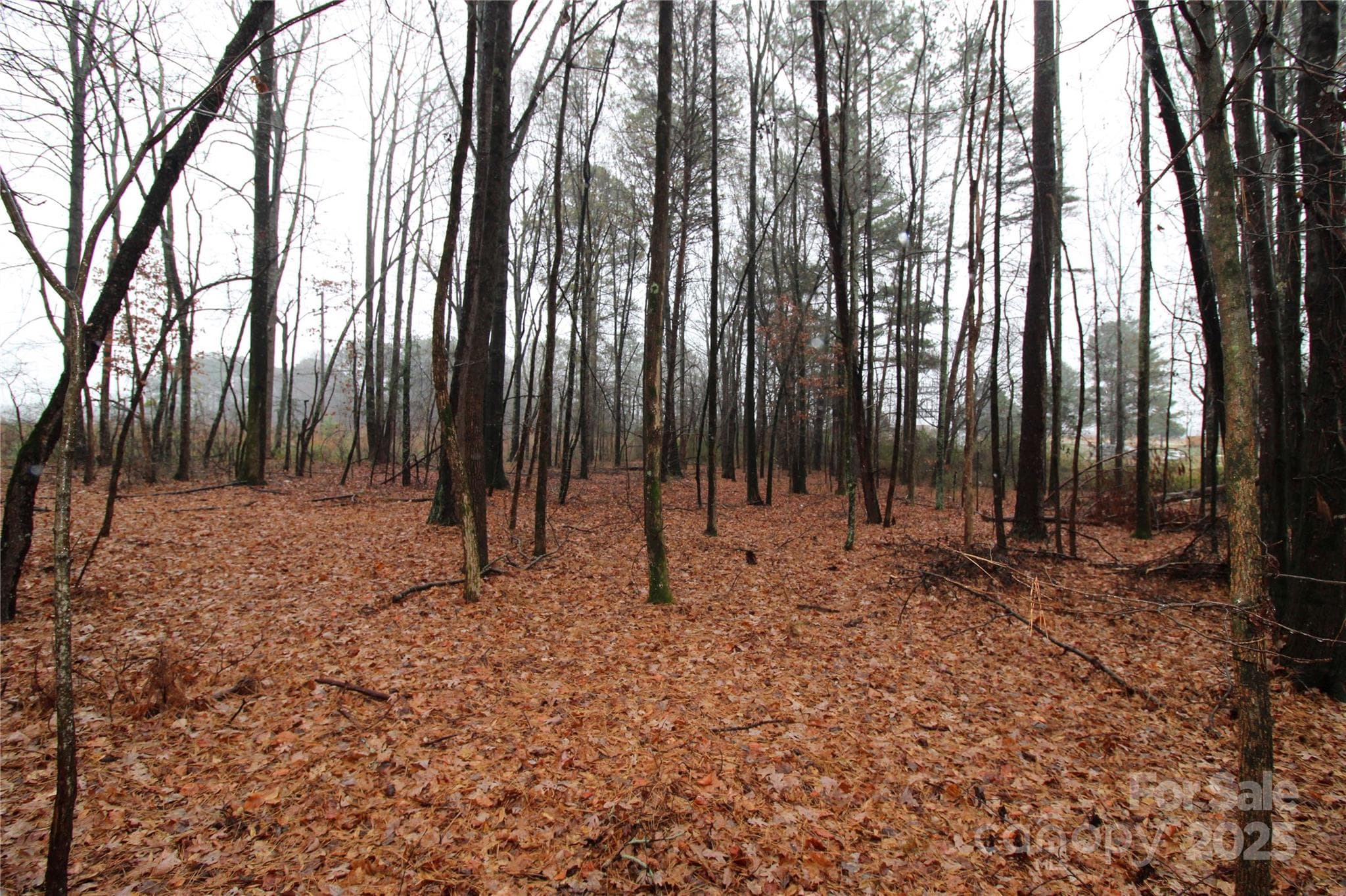 Lot at 4.78+/-AC Neal Road, Bessemer City, photo 2 of 6