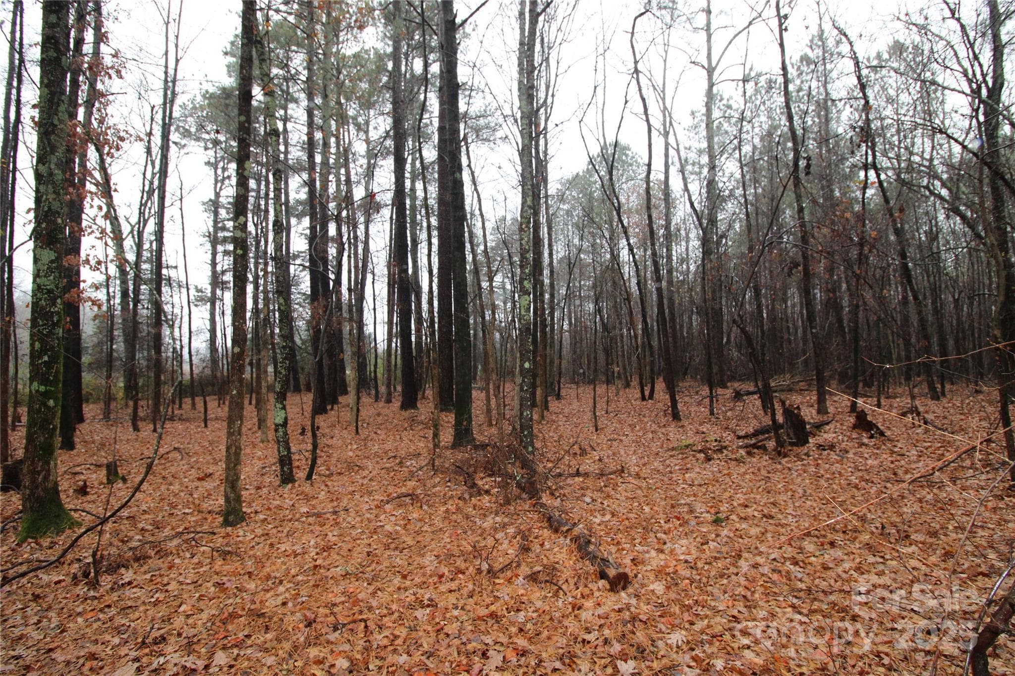 Lot at 4.78+/-AC Neal Road, Bessemer City, photo 3 of 6