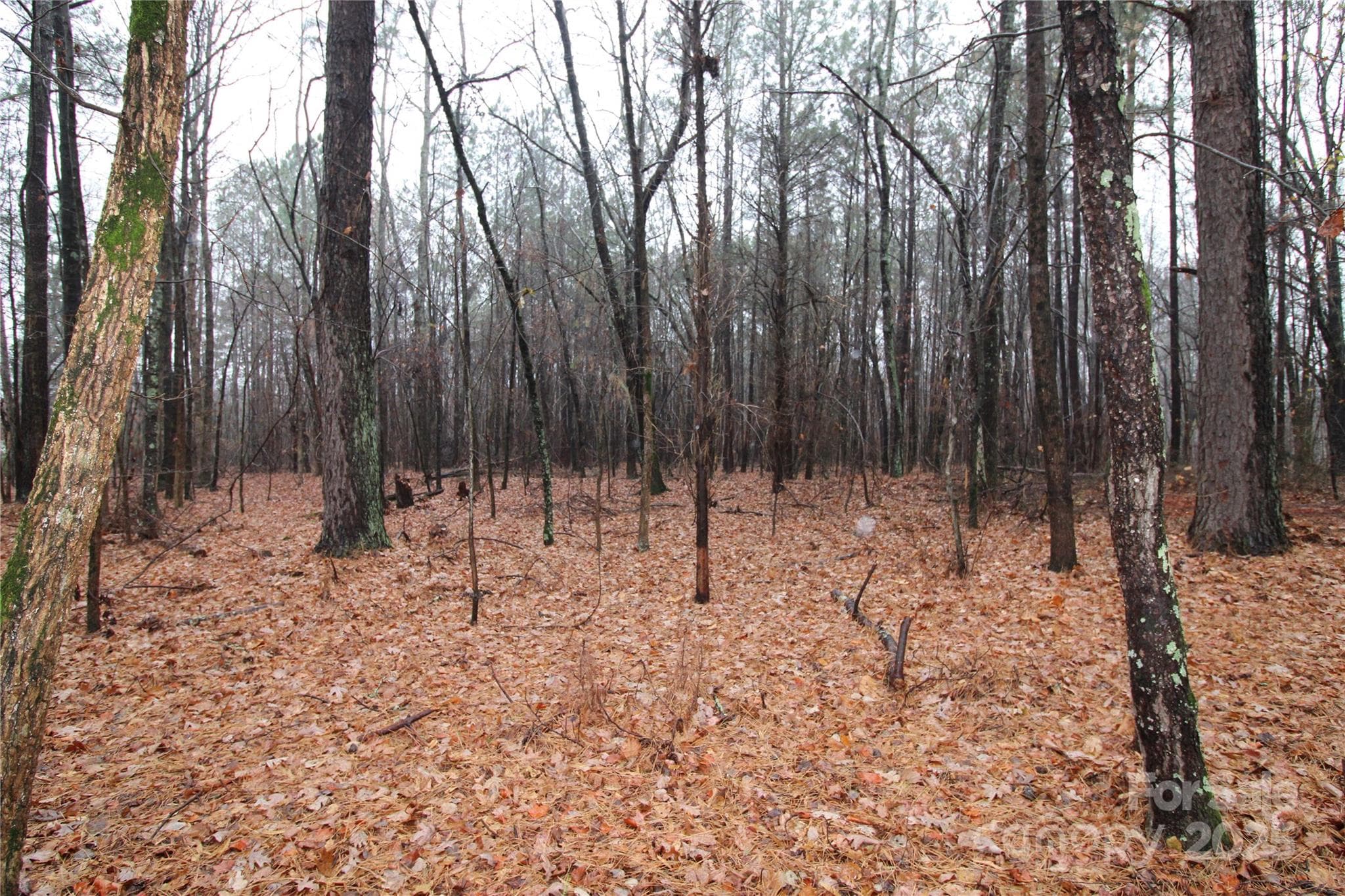 Lot at 4.78+/-AC Neal Road, Bessemer City, photo 4 of 6