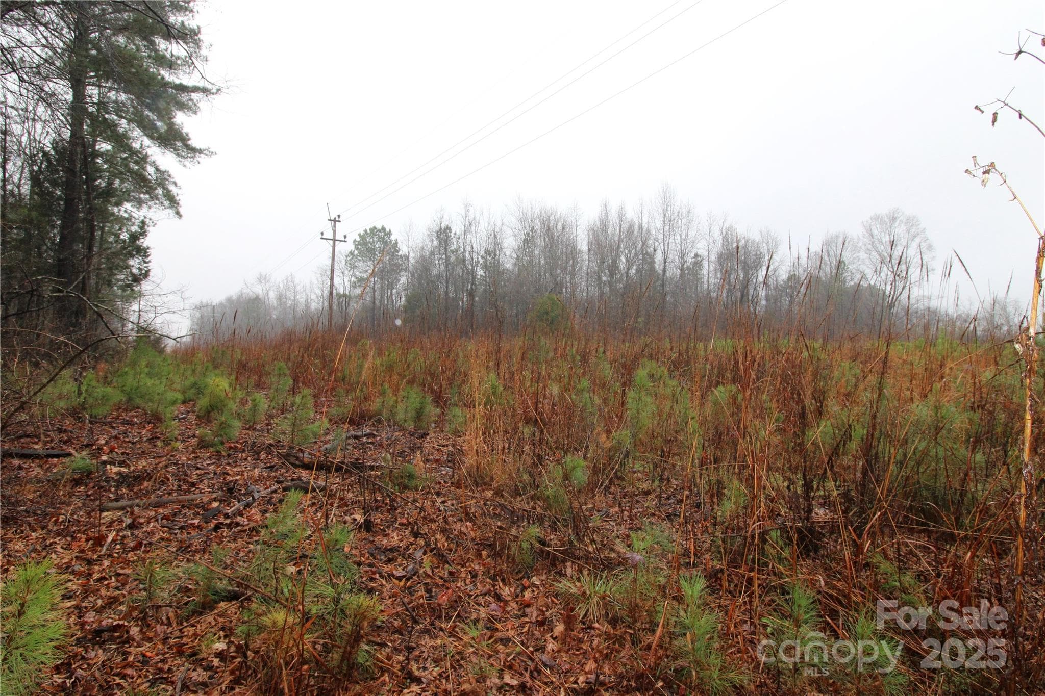 Lot at 4.78+/-AC Neal Road, Bessemer City, photo 5 of 6