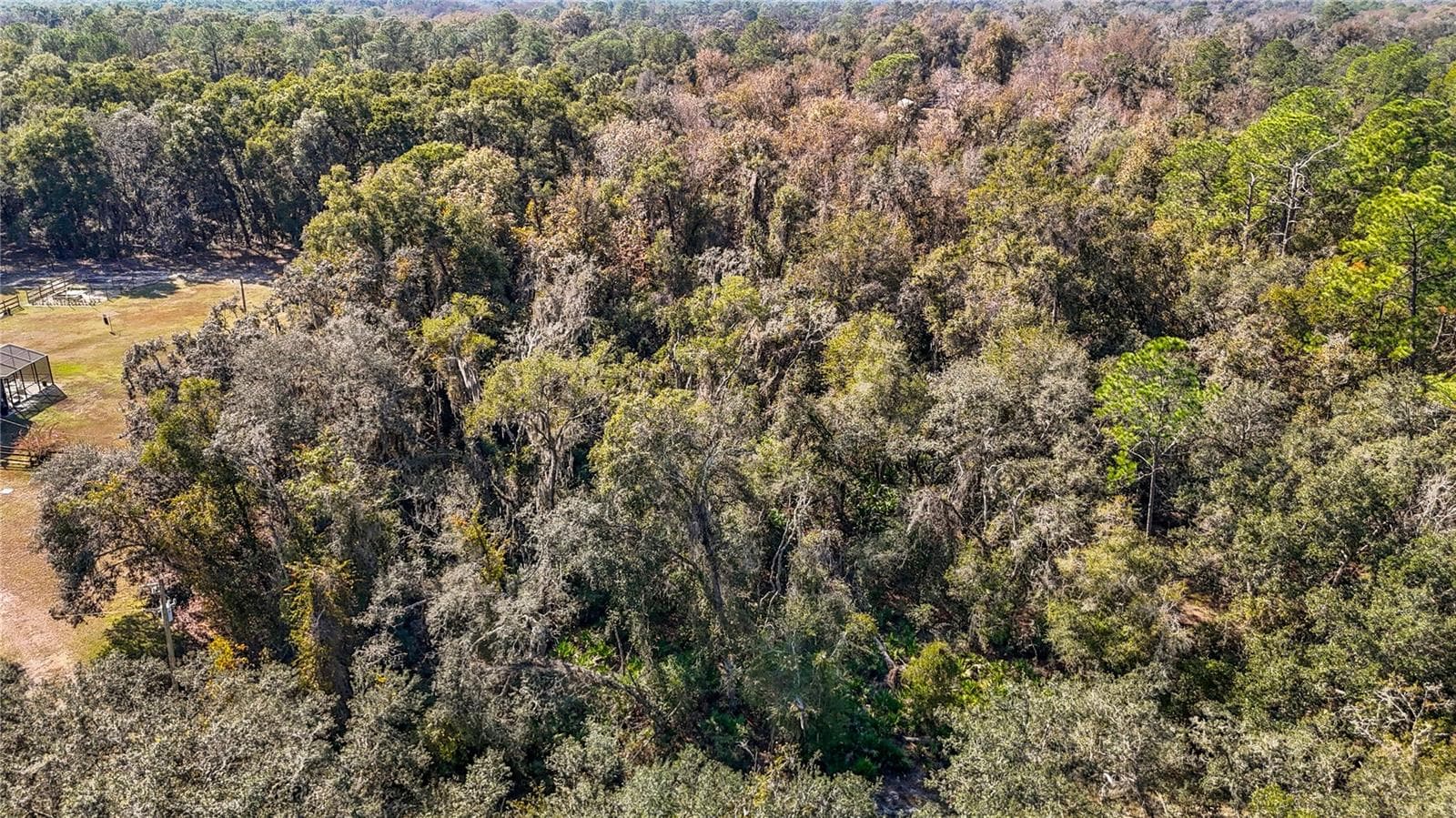 Land at 7241 SONIA AVE, WEBSTER, photo 9 of 23