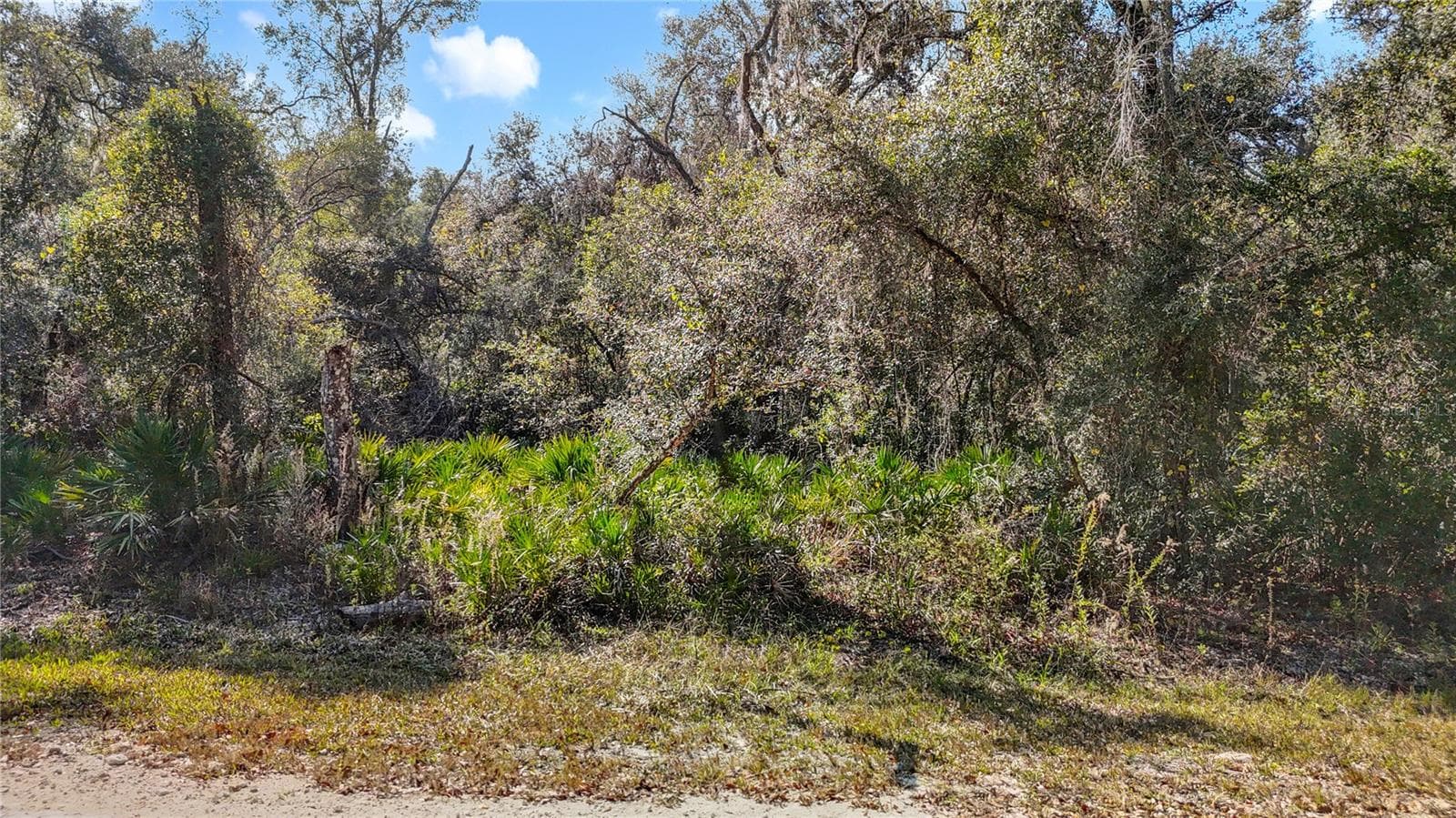 Land at 7241 SONIA AVE, WEBSTER, photo 11 of 23