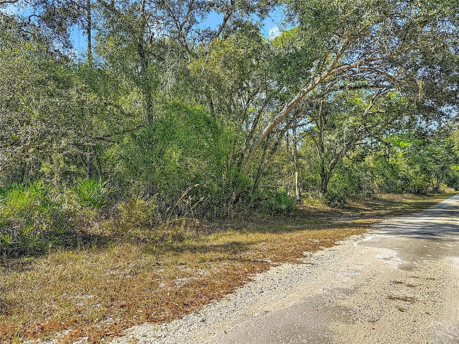 Land at 7241 SONIA AVE, WEBSTER, photo 13 of 23