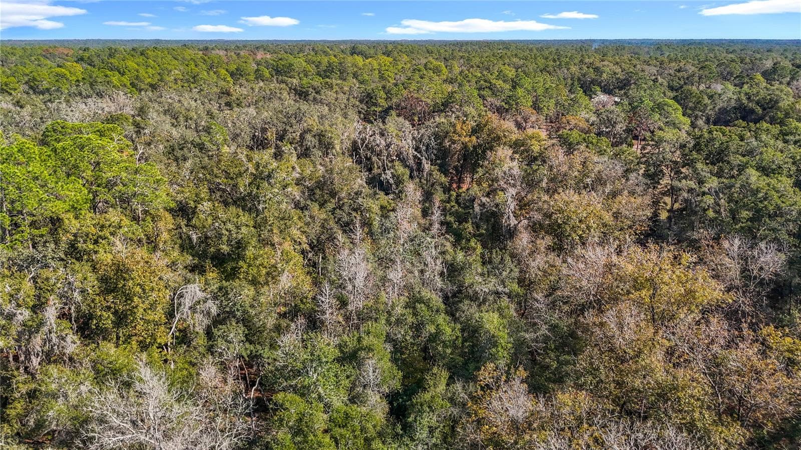 Land at 7241 SONIA AVE, WEBSTER, photo 16 of 23