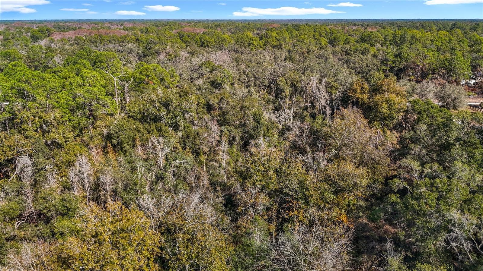 Land at 7241 SONIA AVE, WEBSTER, photo 17 of 23