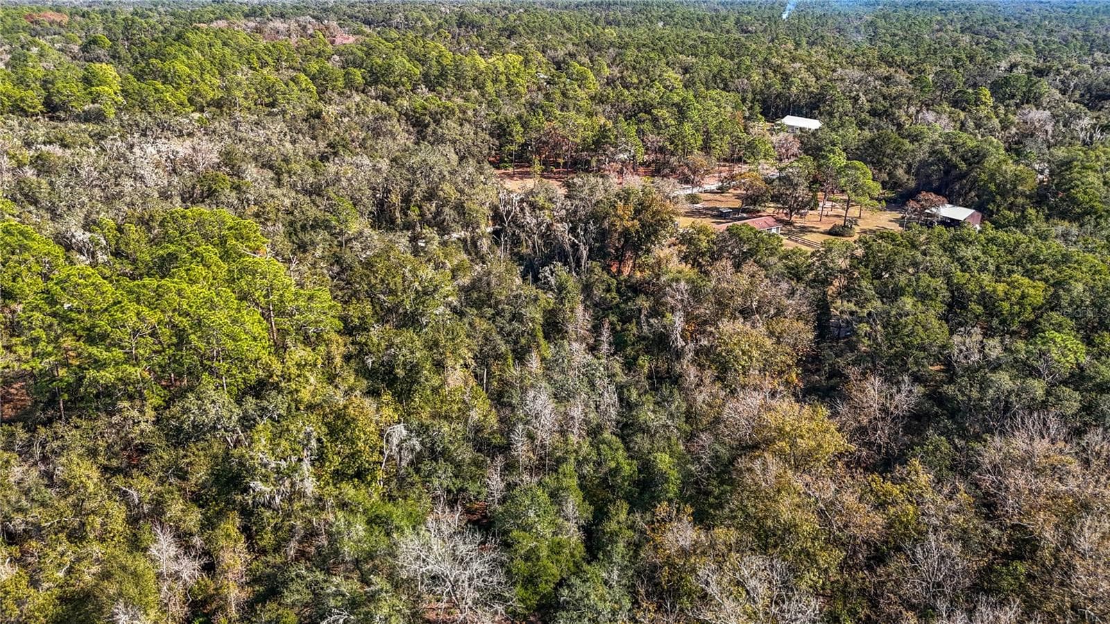 Land at 7241 SONIA AVE, WEBSTER, photo 18 of 23