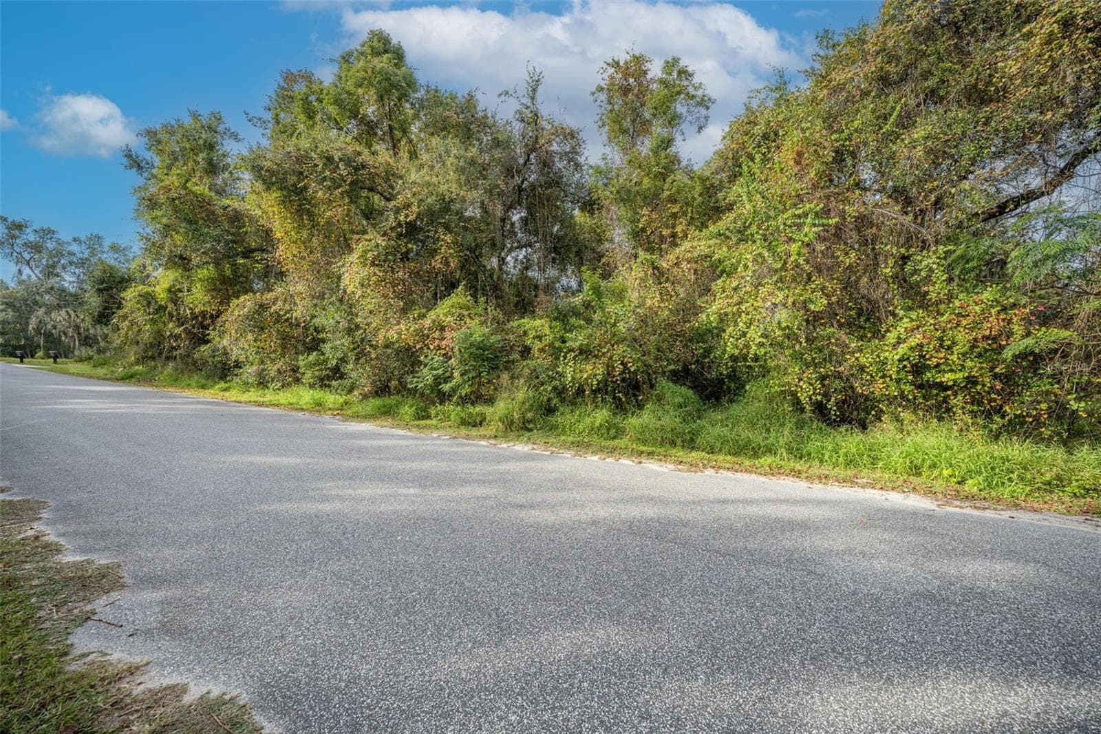 Land at ROYAL OAK RD, FRUITLAND PARK, photo 2 of 26