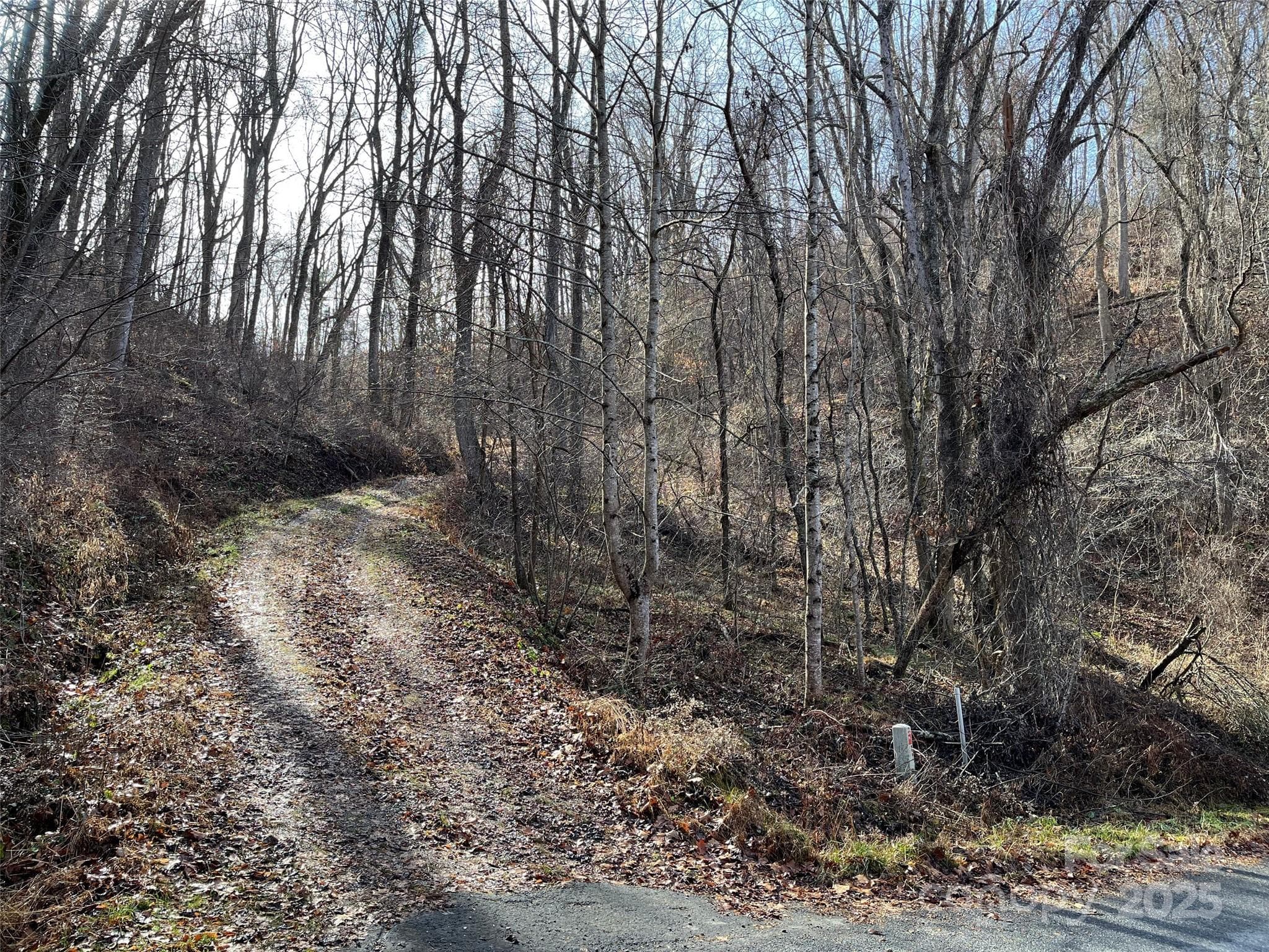 Lot at Weaverville, photo 7 of 17