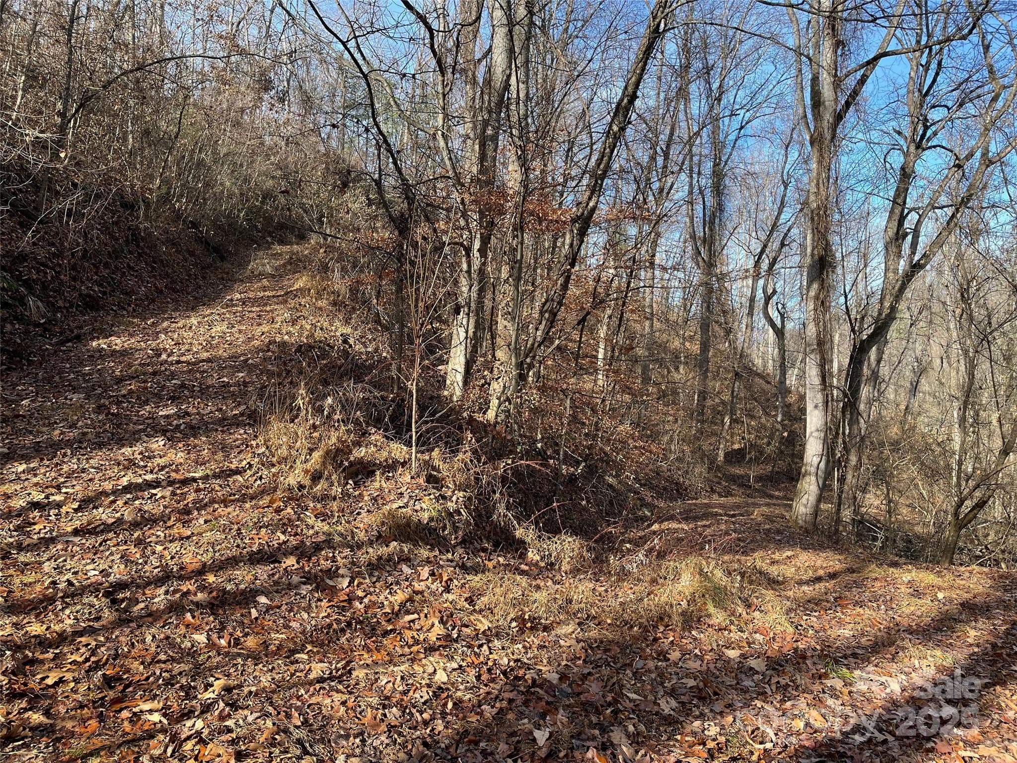 Lot at Weaverville, photo 8 of 17