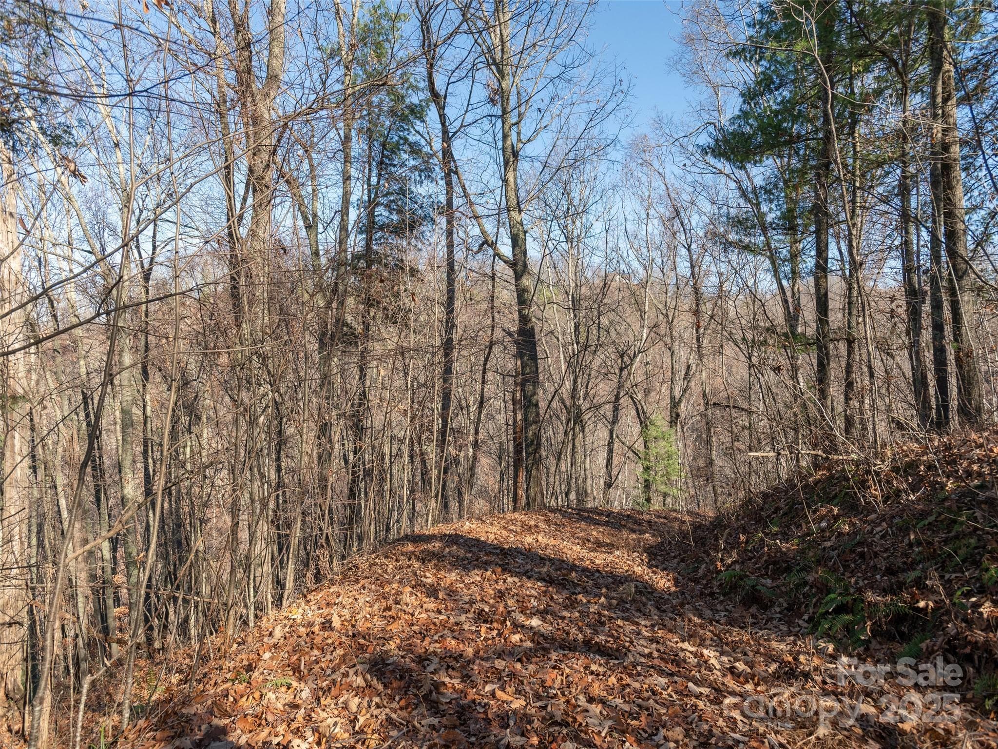 Lot at Weaverville, photo 9 of 17