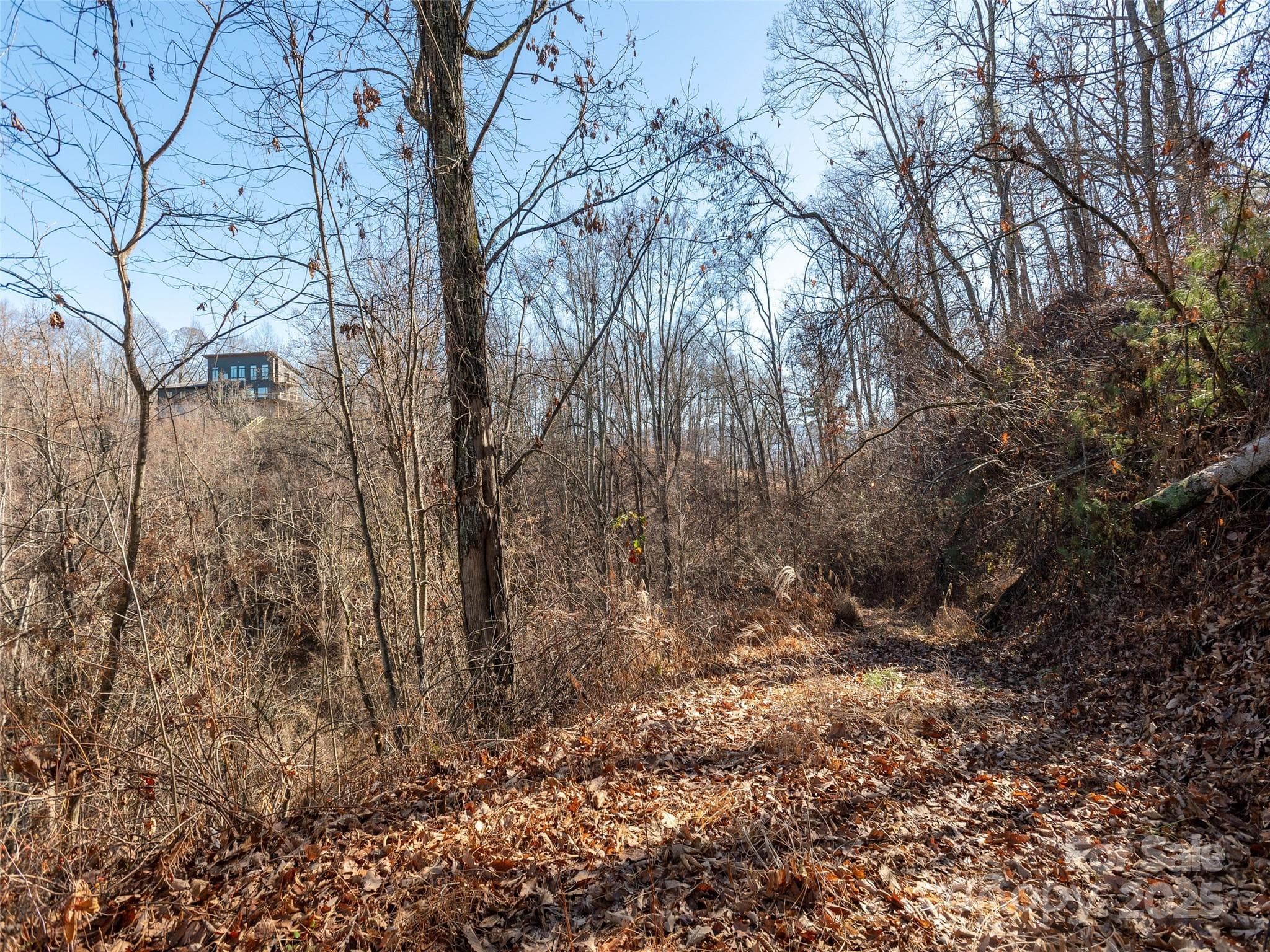 Lot at Weaverville, photo 11 of 17