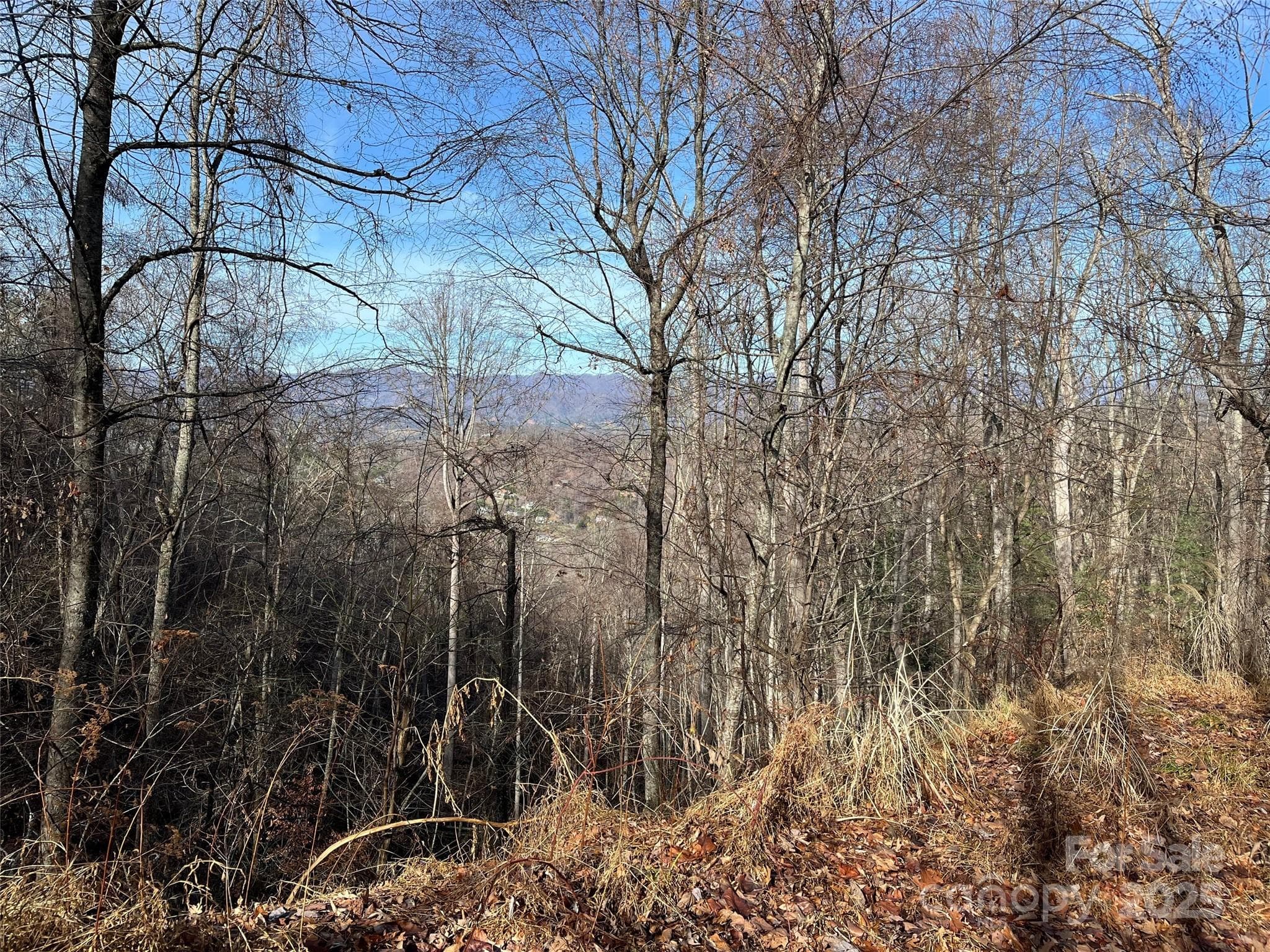Lot at Weaverville, photo 12 of 17