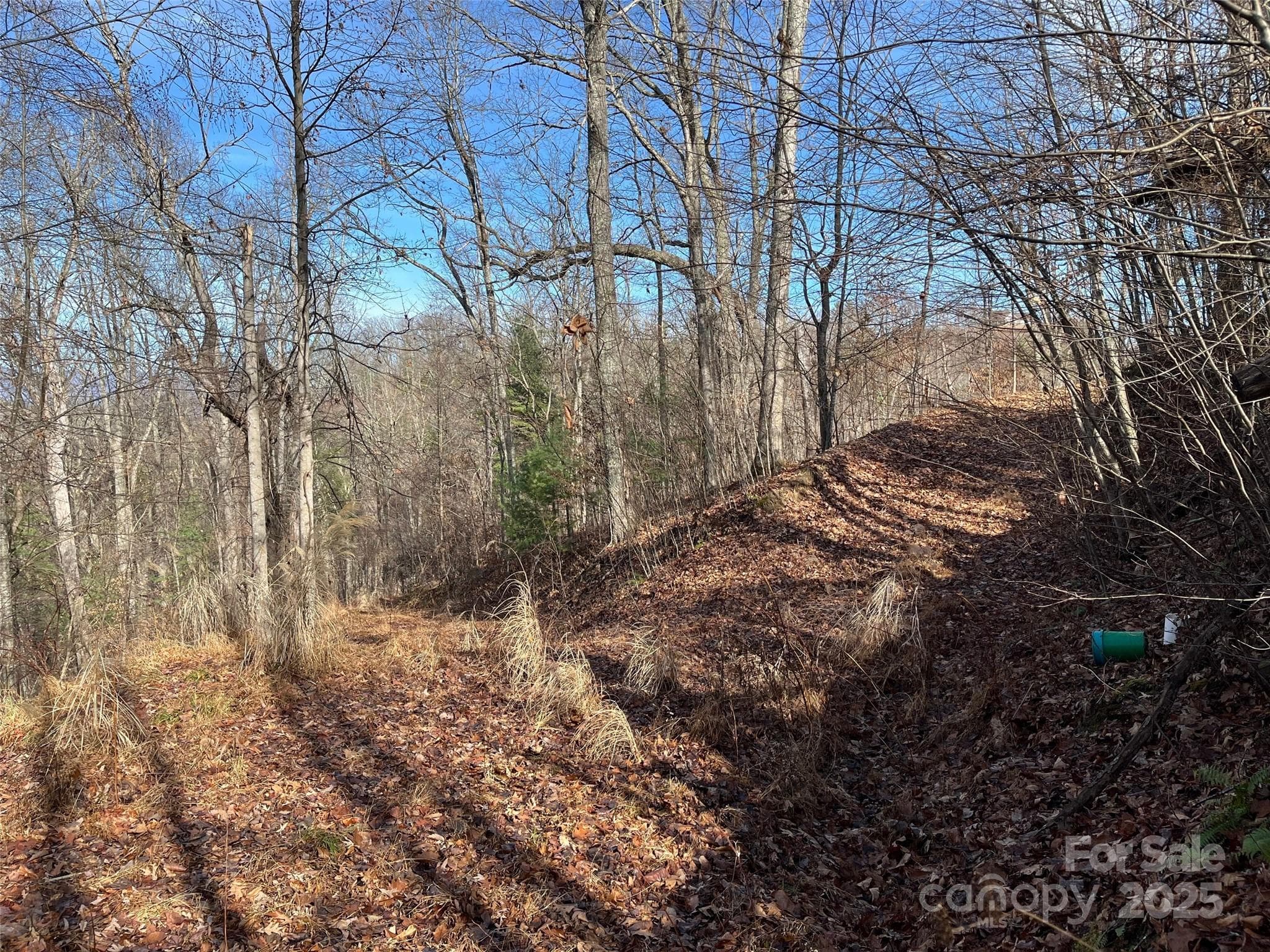 Lot at Weaverville, photo 13 of 17