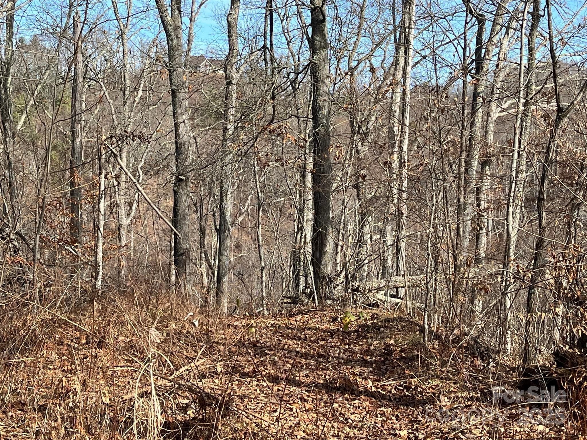 Lot at Weaverville, photo 15 of 17
