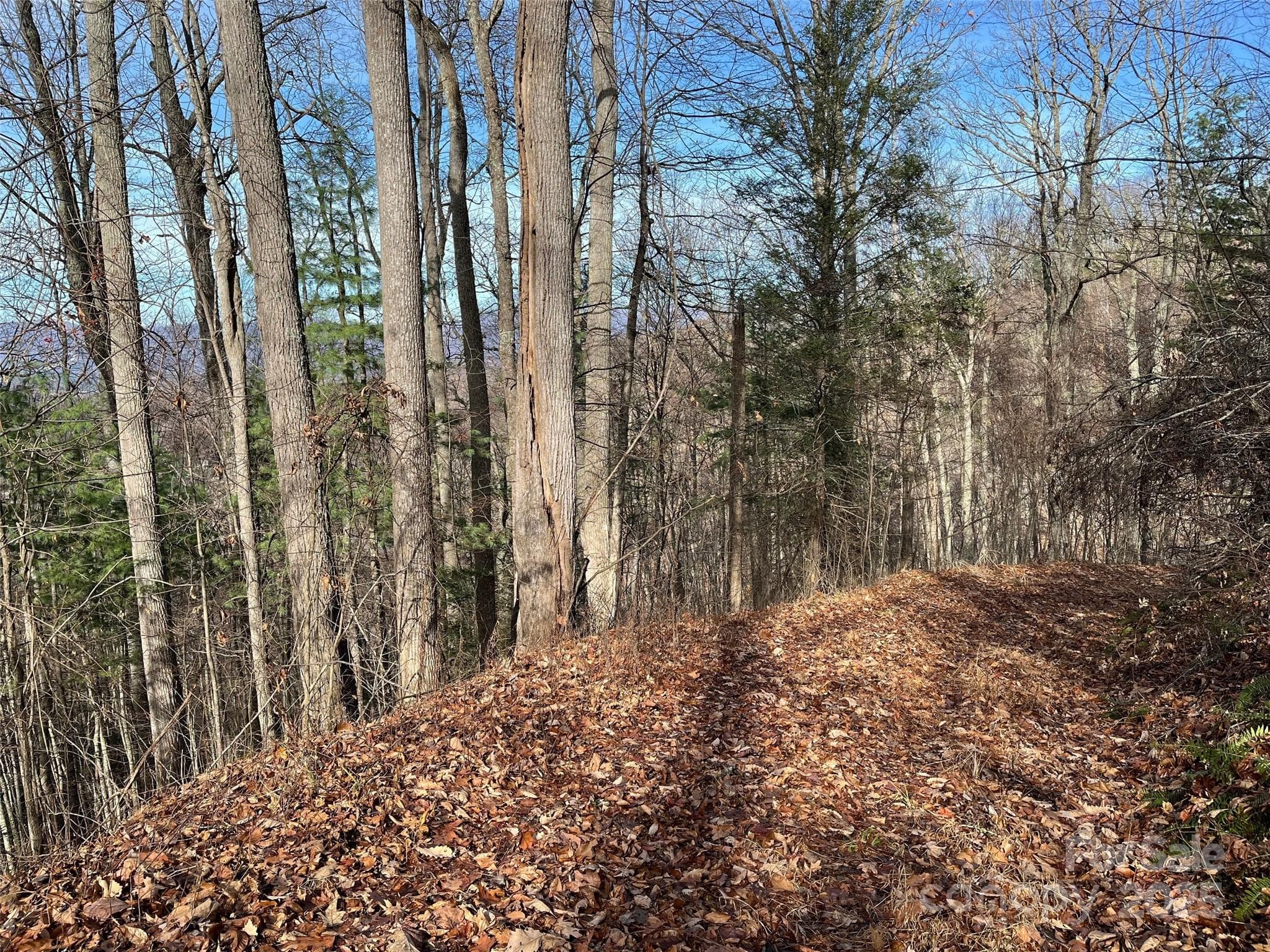 Lot at Weaverville, photo 16 of 17