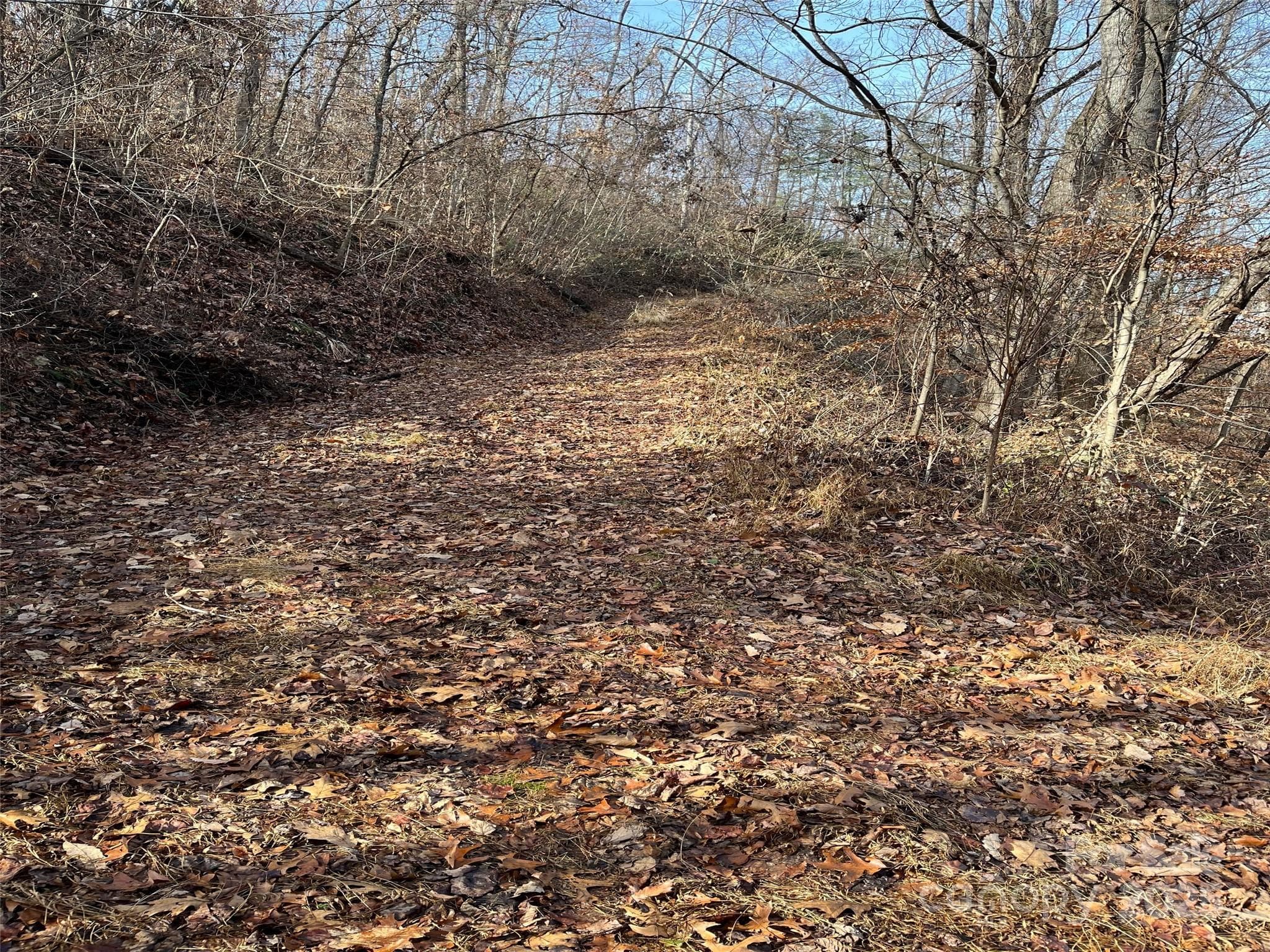 Lot at Weaverville, photo 17 of 17